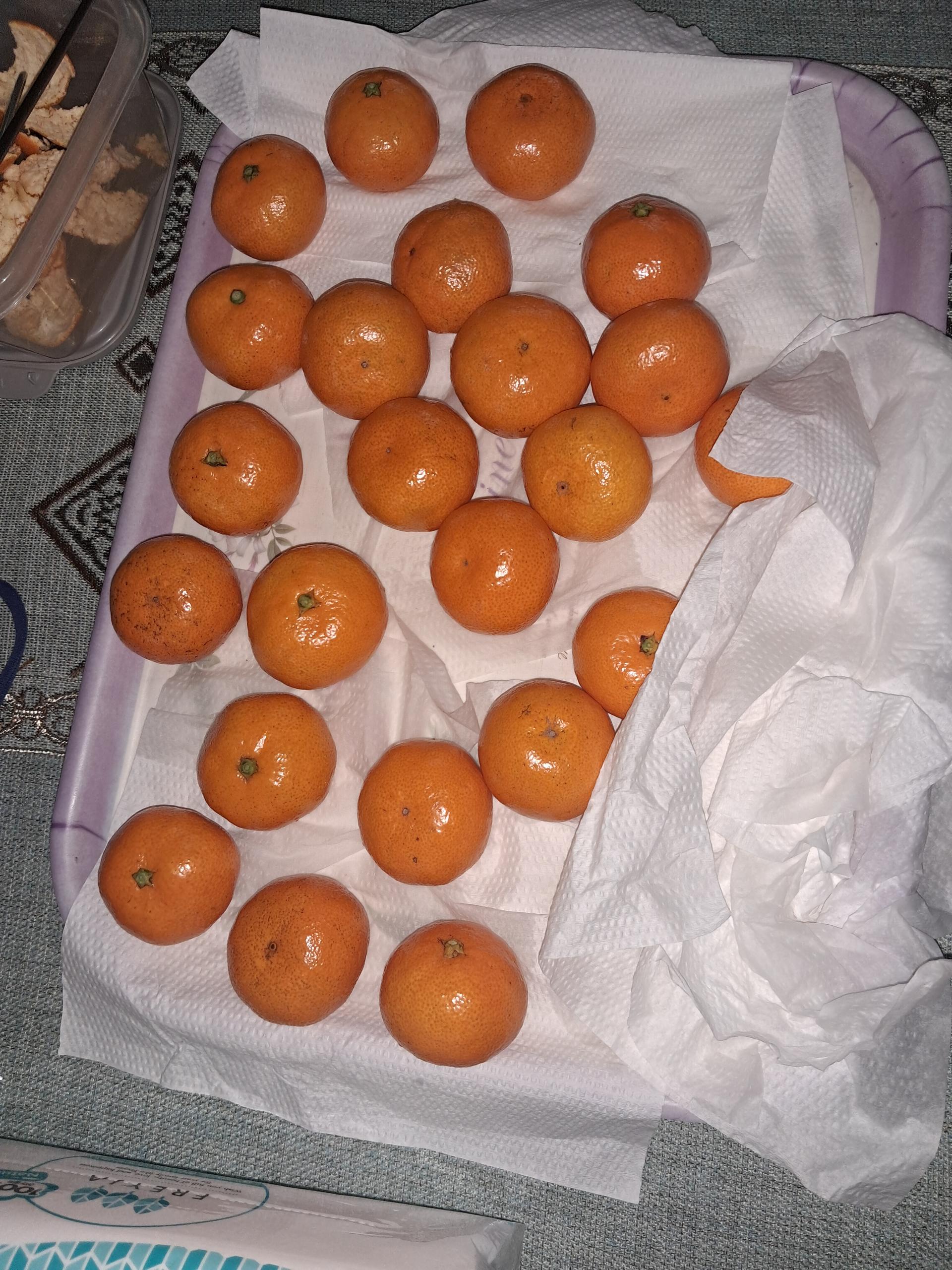 행복담원 타이벡귤 5kg (로얄과)