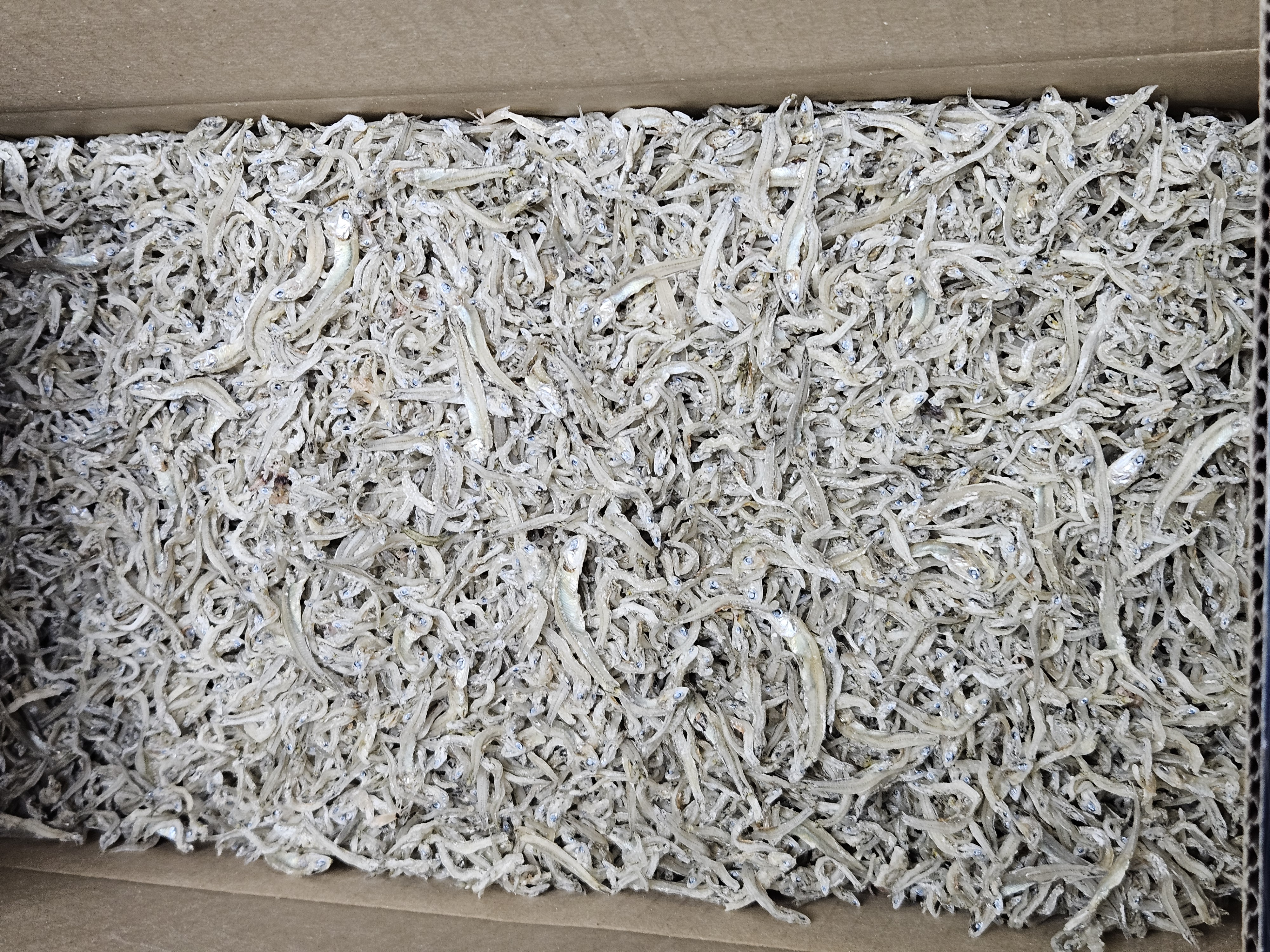 완도 잔멸치 (1kg)