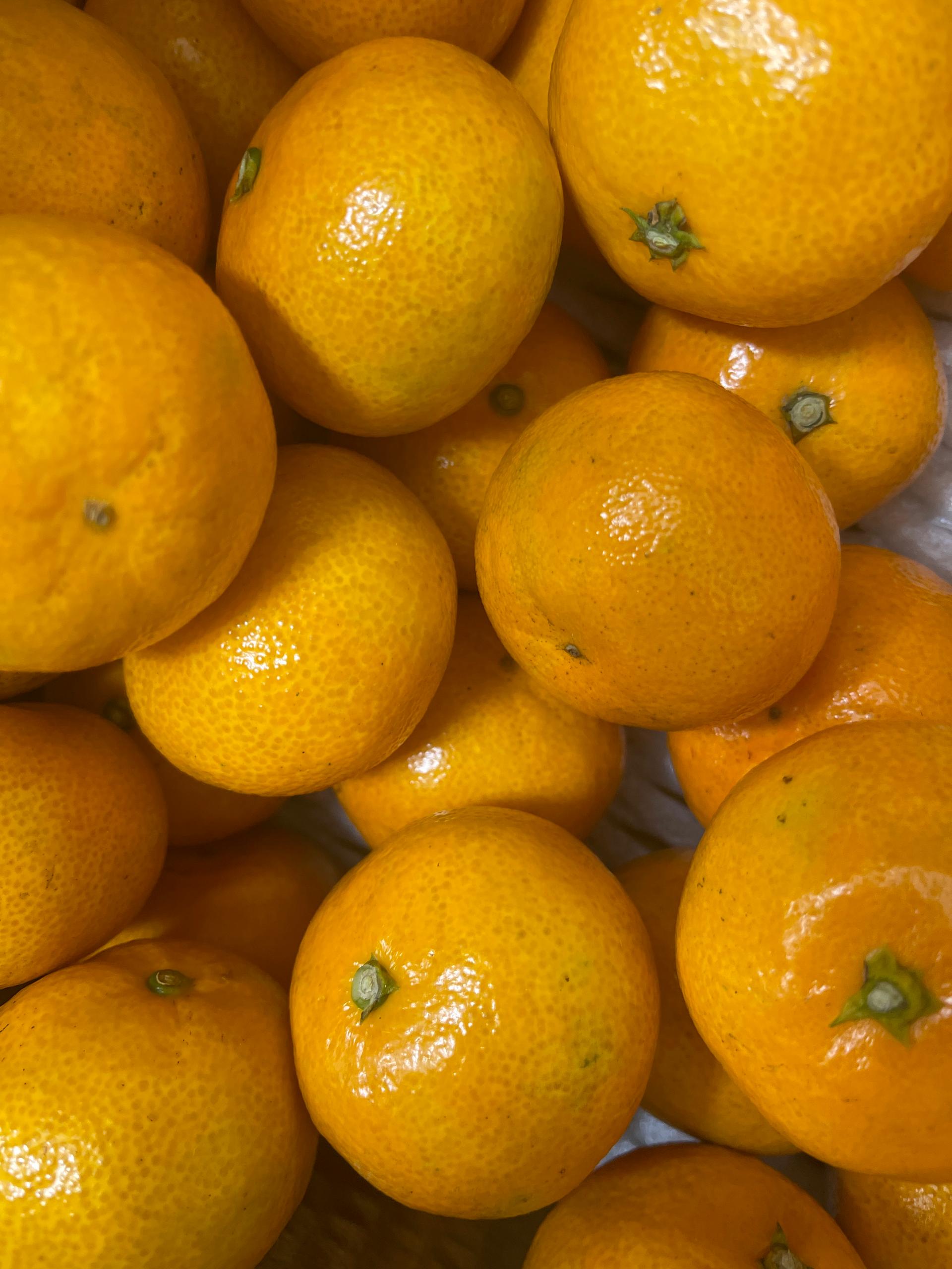 귤로장생 감귤 4kg × 2박스 / 9kg  × 1박스