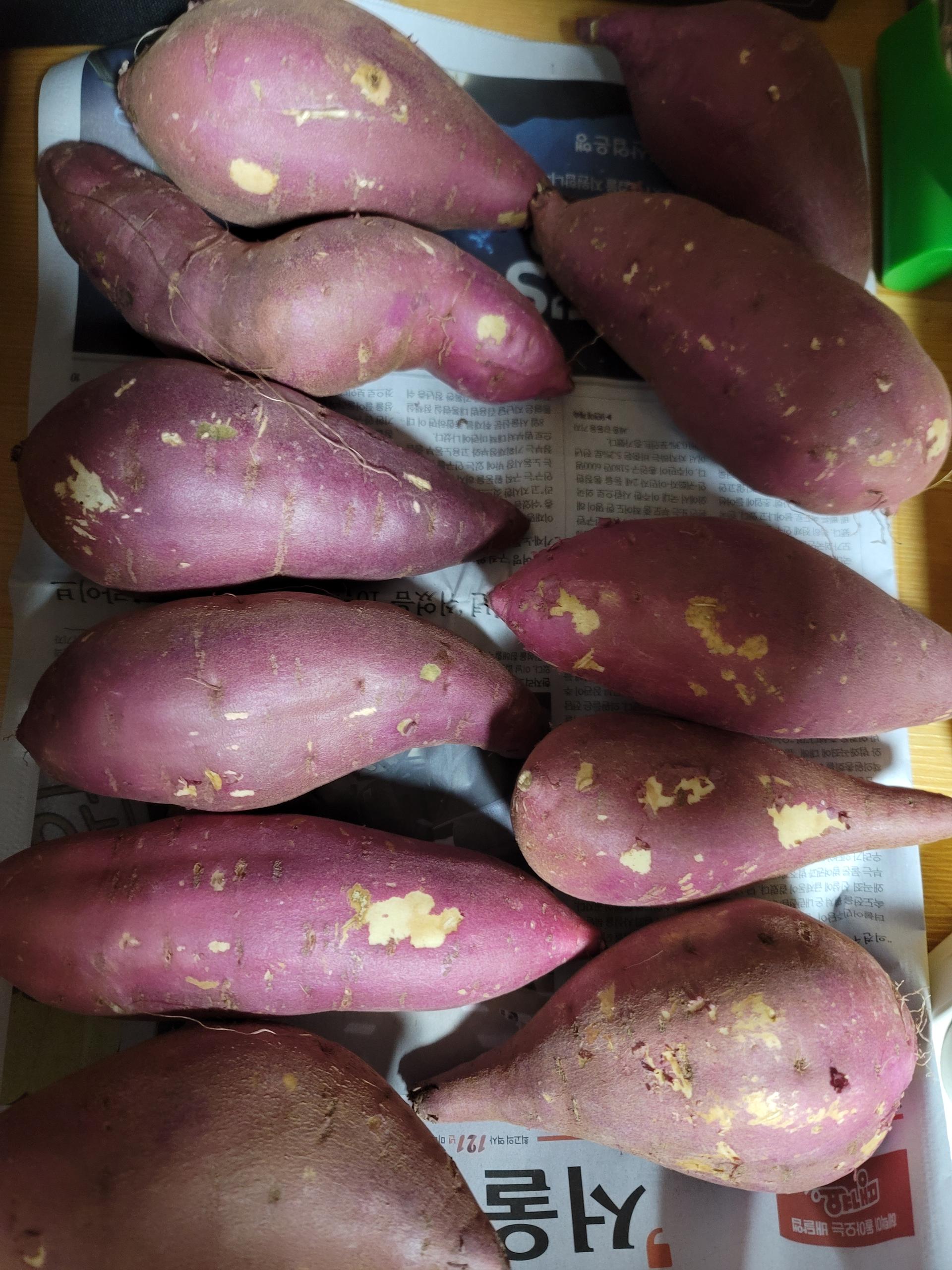 [EVENT] 무농약 김의준 꿀고구마 (대 3kg + 하 3kg) + 대 2kg 추가증정