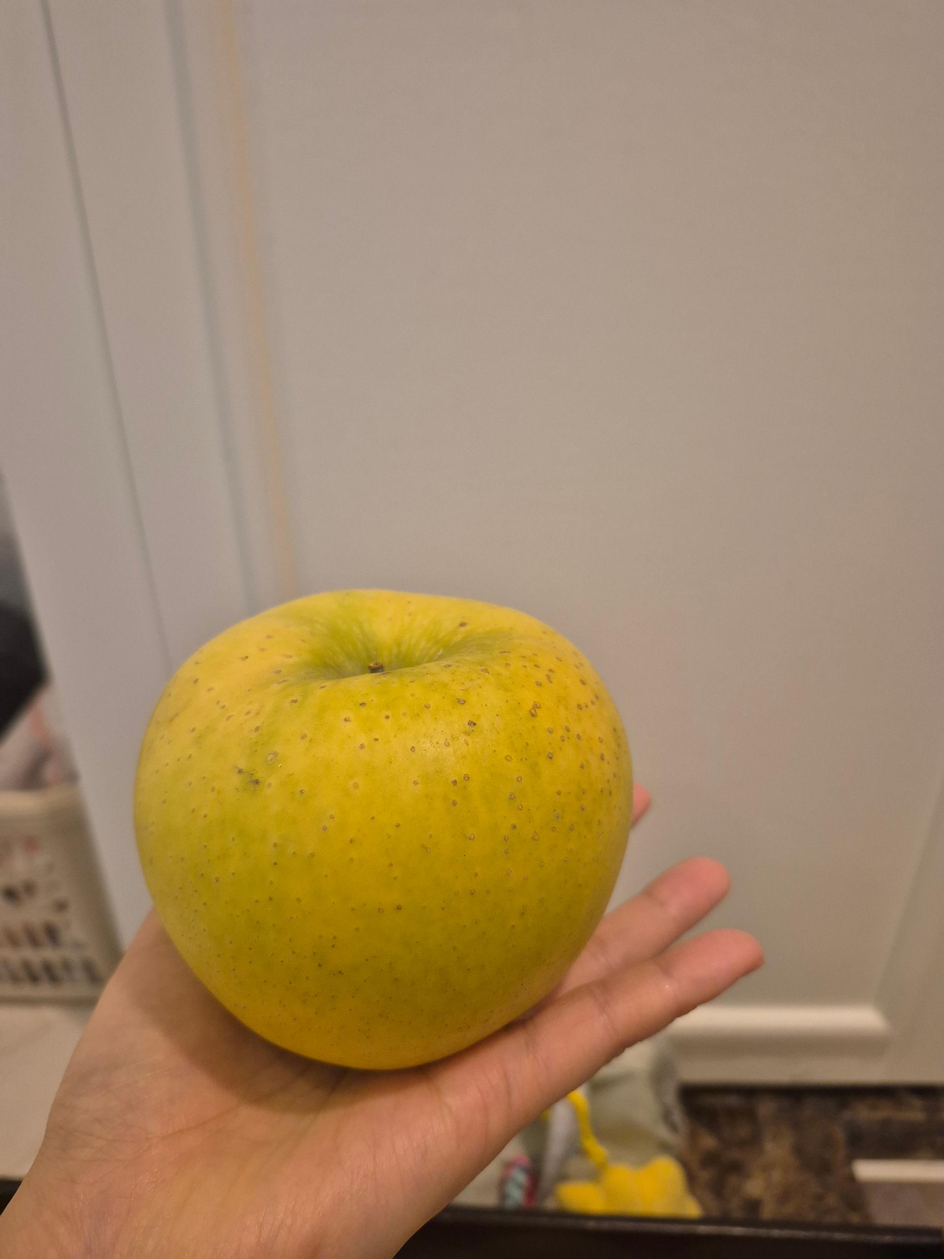 대경사과원예농협]영주사과 3.2kg 선물세트+1kg 추가 증정 (10입내)