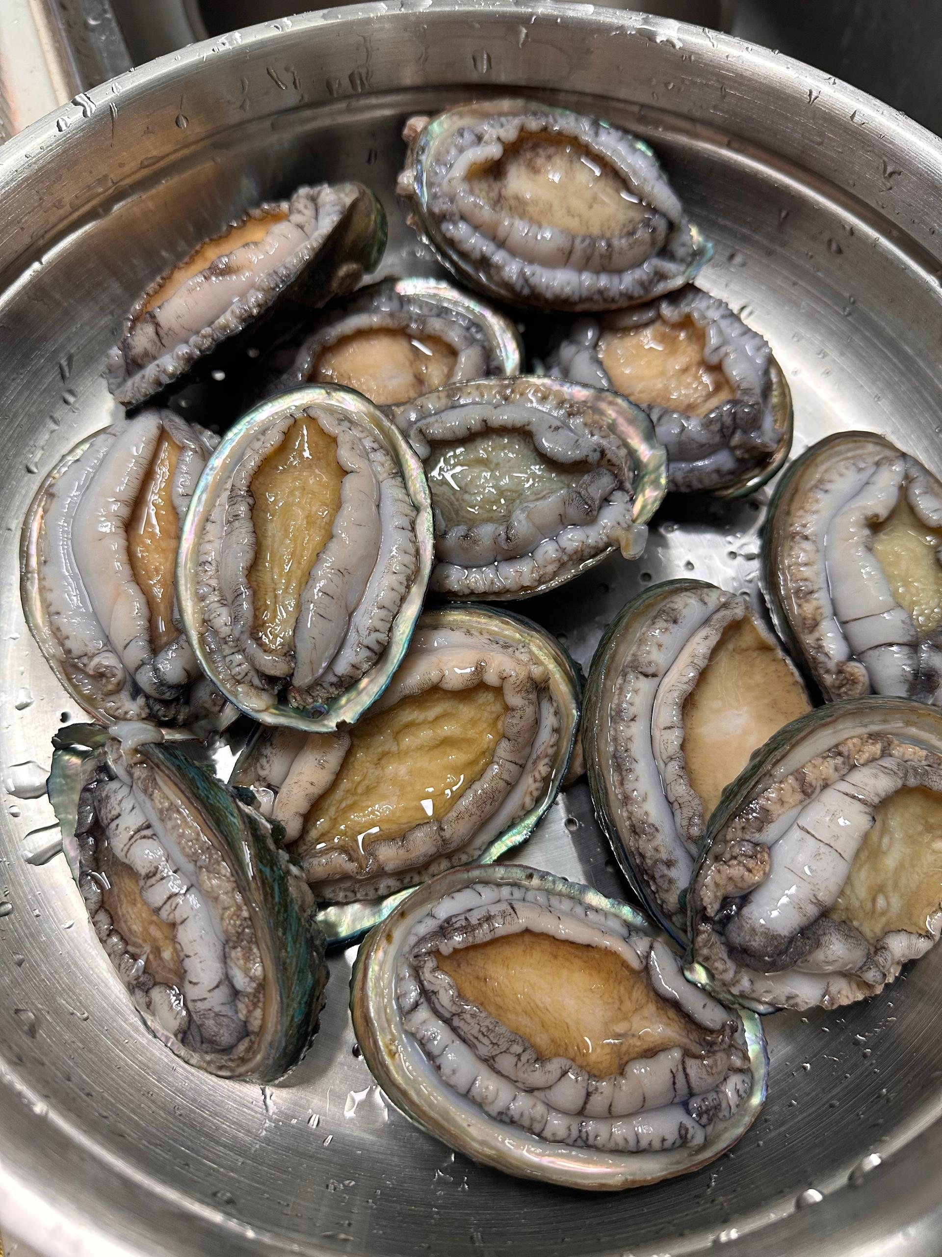 활전복 1kg (10~12미) + 1마리 추가