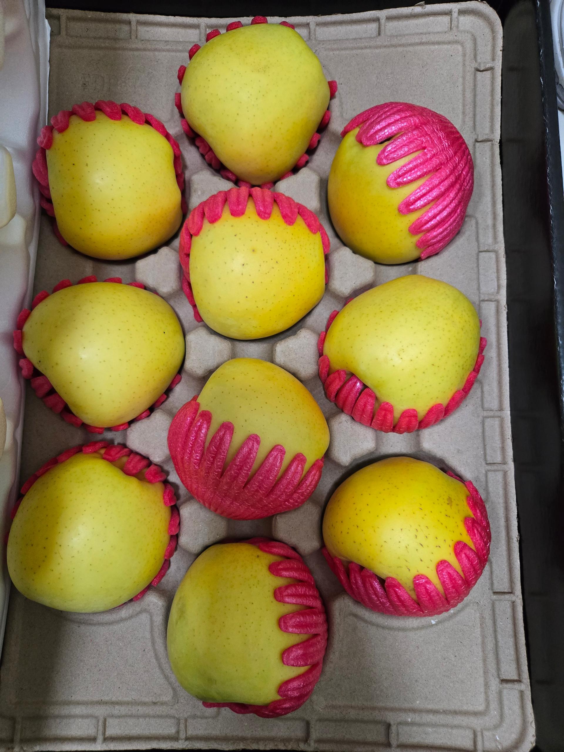 대경사과원예농협]영주사과 3.2kg 선물세트+1kg 추가 증정 (10입내)