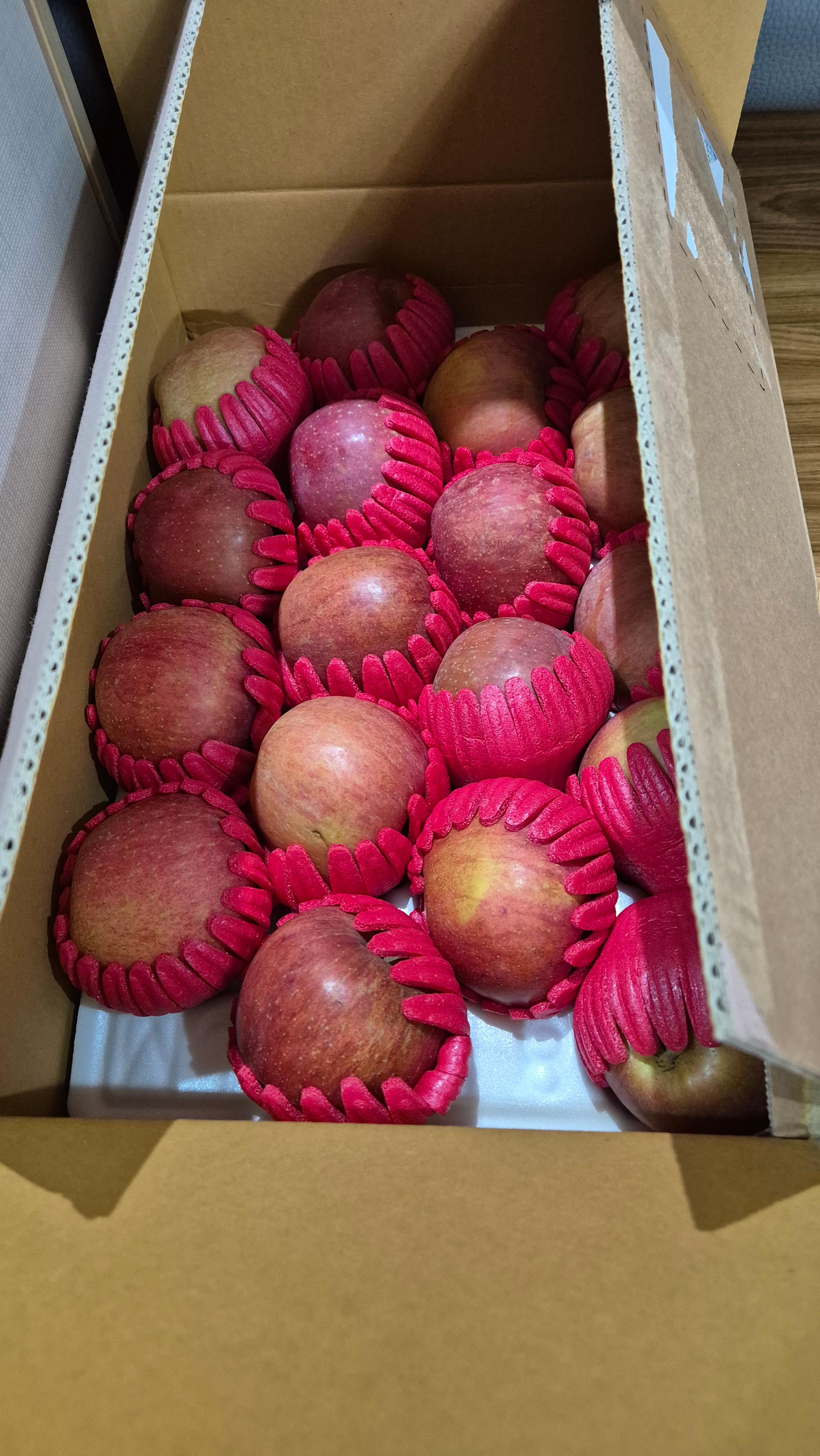 무주 반딧불 부사 4kg(18과)