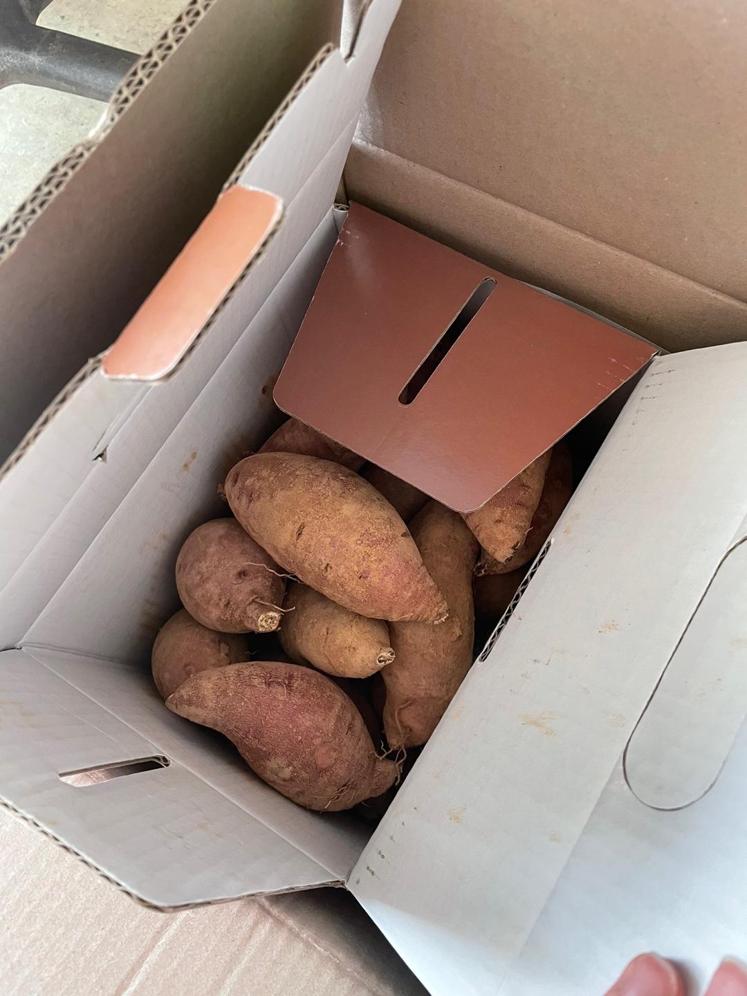 상월 꿀밤고구마 3kg + 호박고구마 3kg