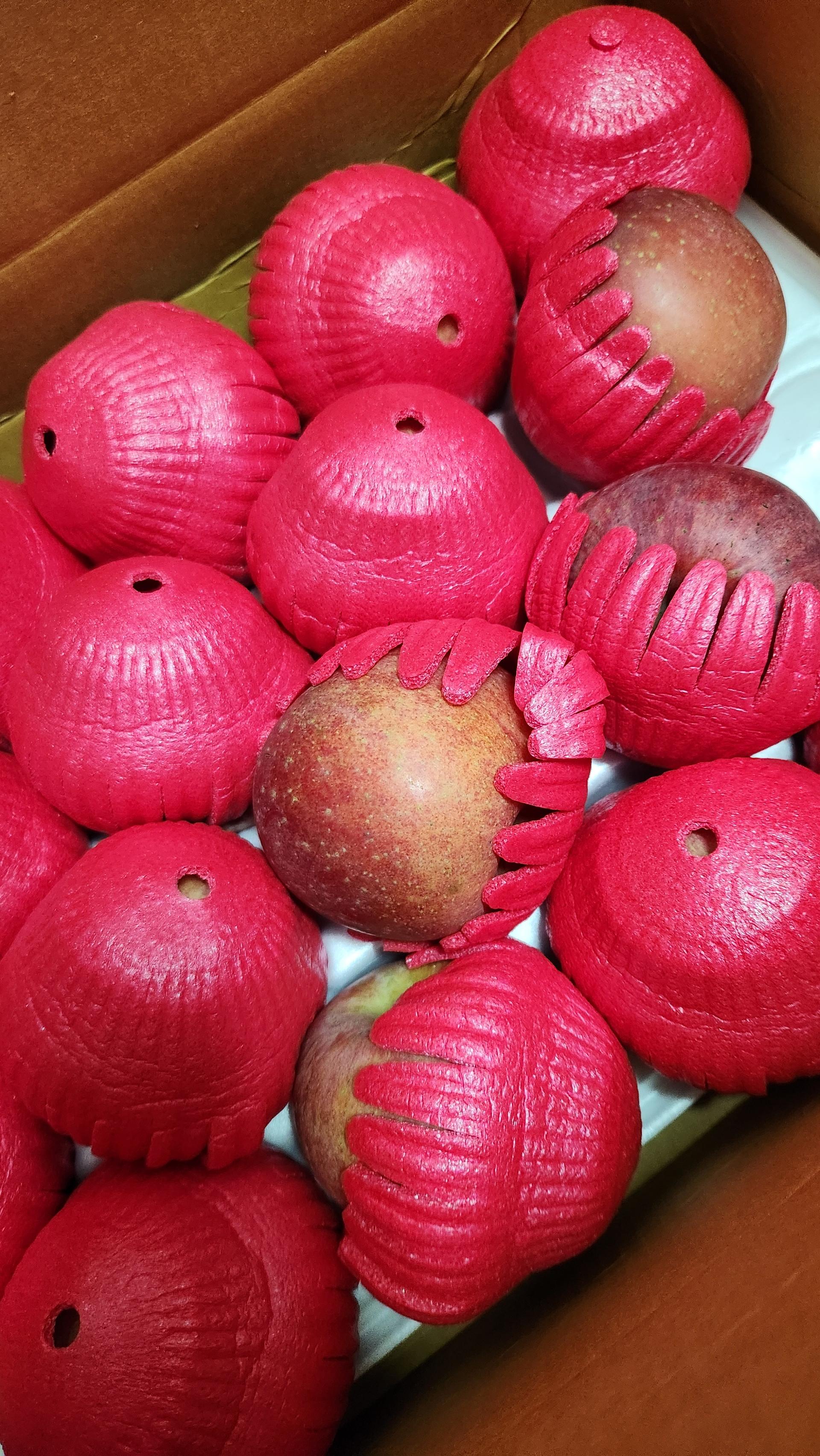 무주 반딧불 부사 4kg(18과)