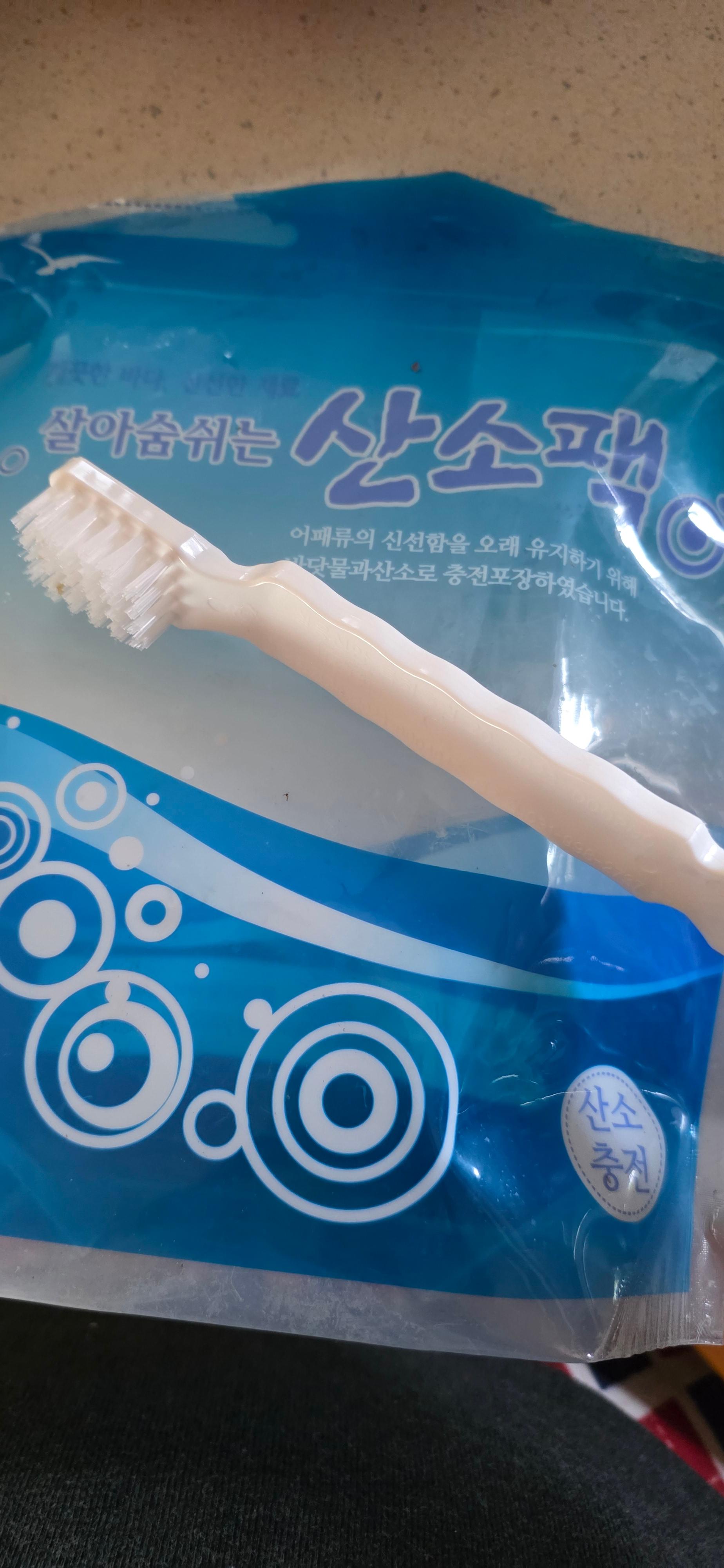 활전복 1kg (10~12미) + 1마리 추가