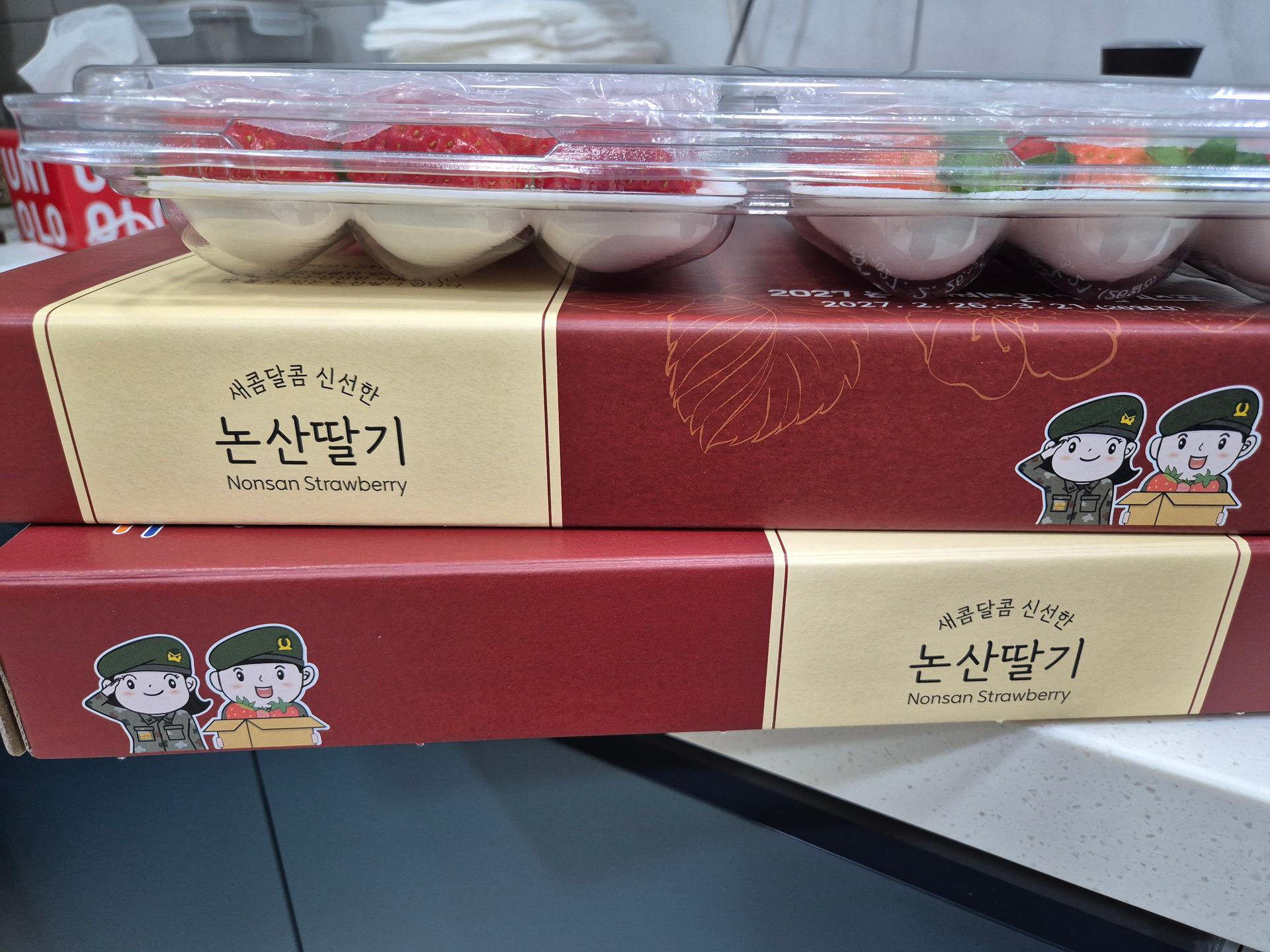 [사전예약 2차, 12월 중순 발송예정] 명품 설향딸기 800g + 800g