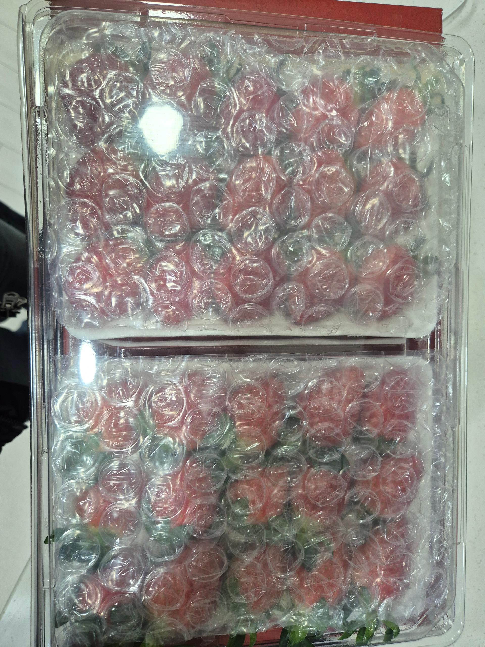 [사전예약 2차, 12월 중순 발송예정] 명품 설향딸기 800g + 800g