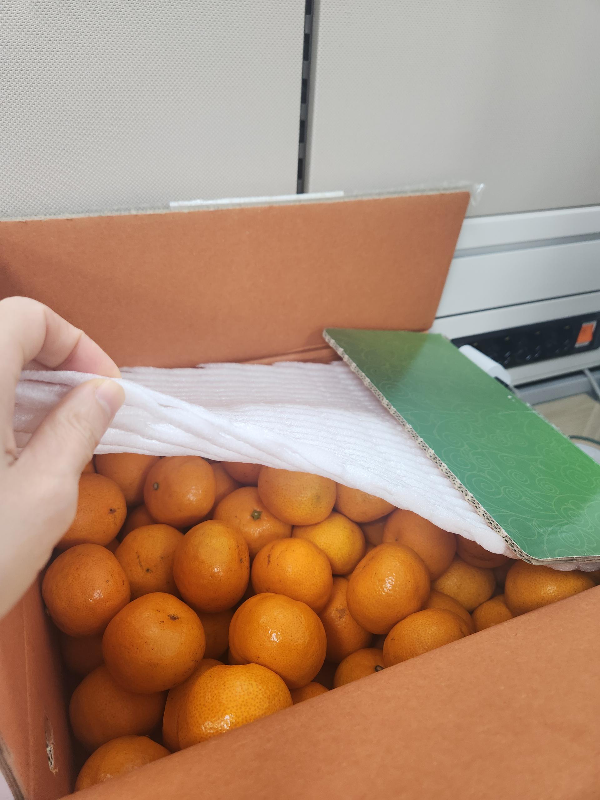 행복담원 타이벡귤 5kg (로얄과)