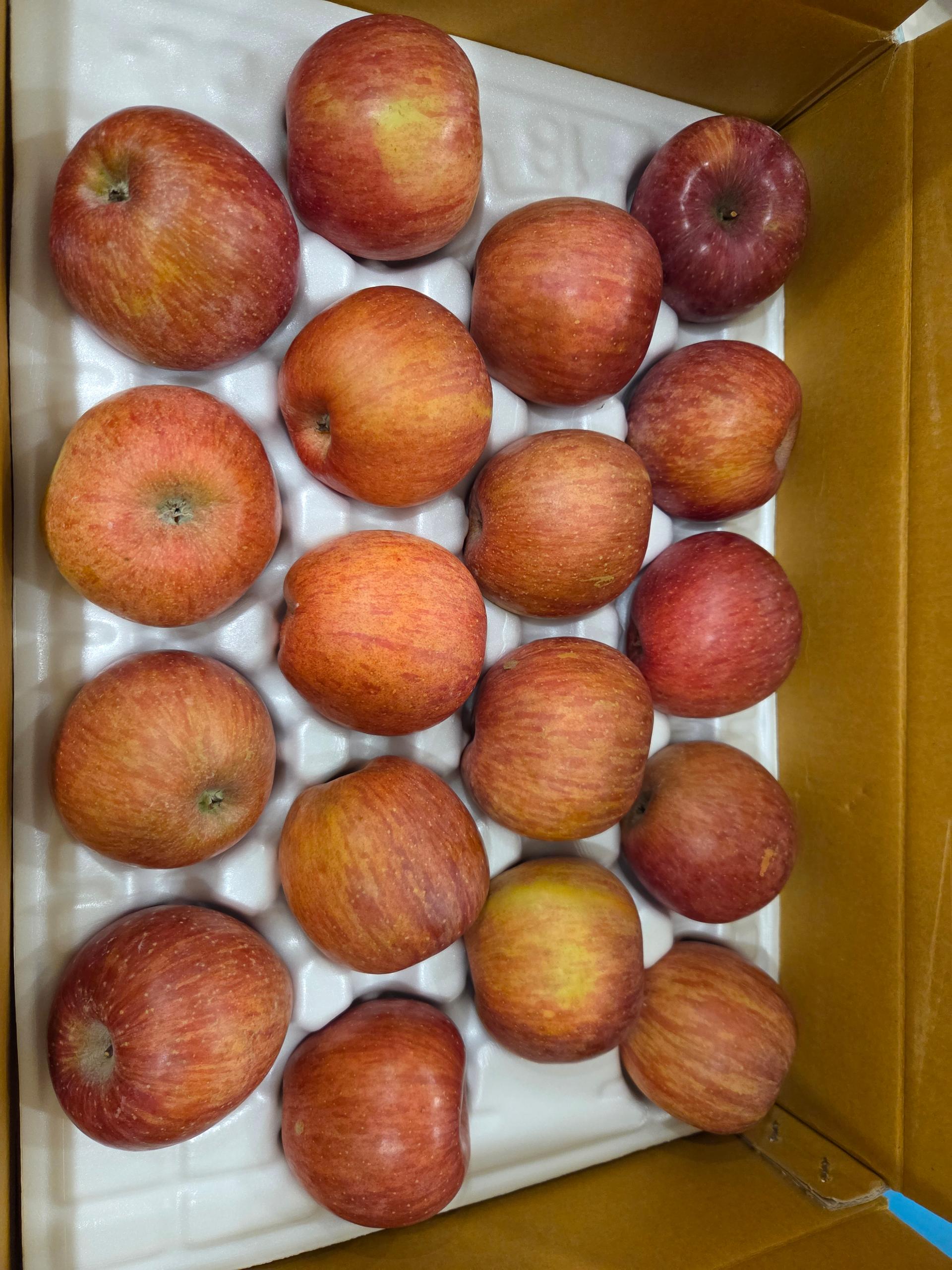 풍기농협 영주사과 3.5kg + 1kg 추가증정