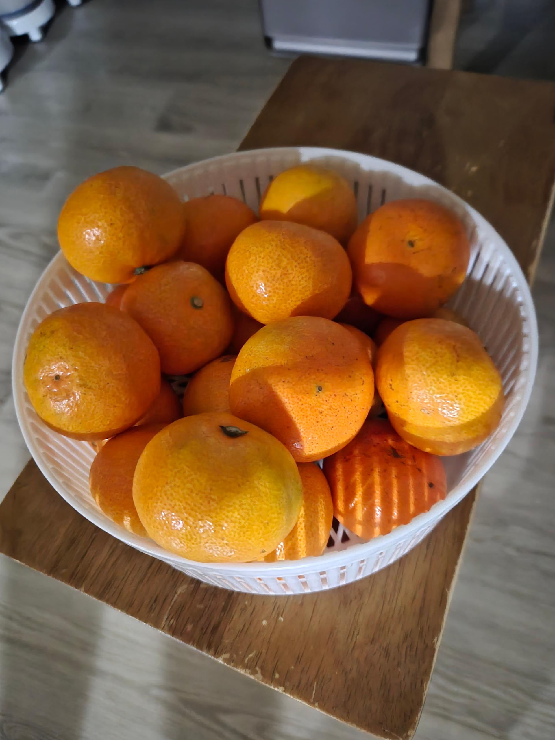 [연말한정! 감귤/오메기떡 개별 발송] 제주감귤 4kg (1박스)+오메기떡 20개 선물세트(택1)