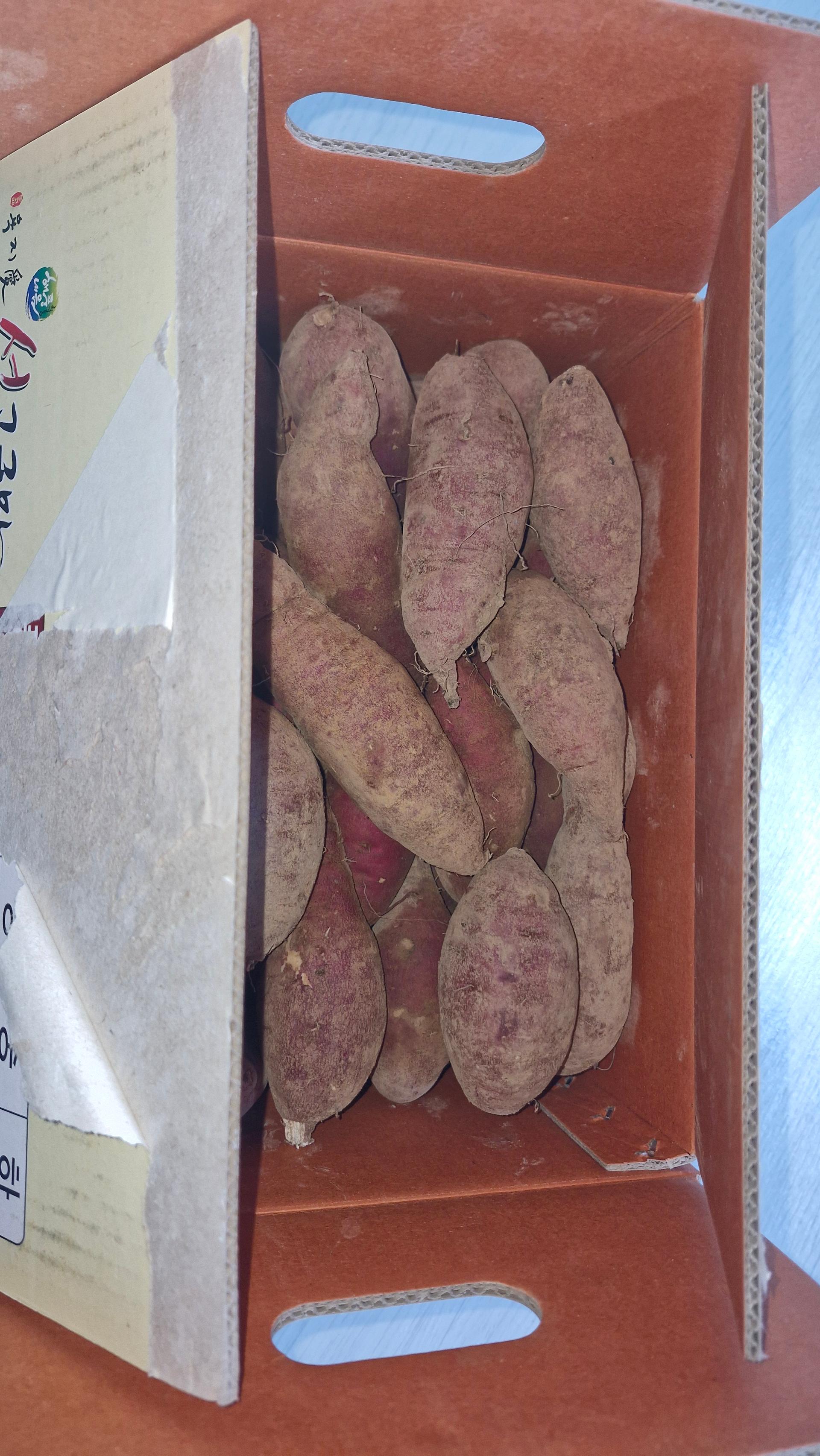 욕지도 고구마 (꿀고구마 5kg, 밤고구마 5kg, 호박고구마 5kg) 