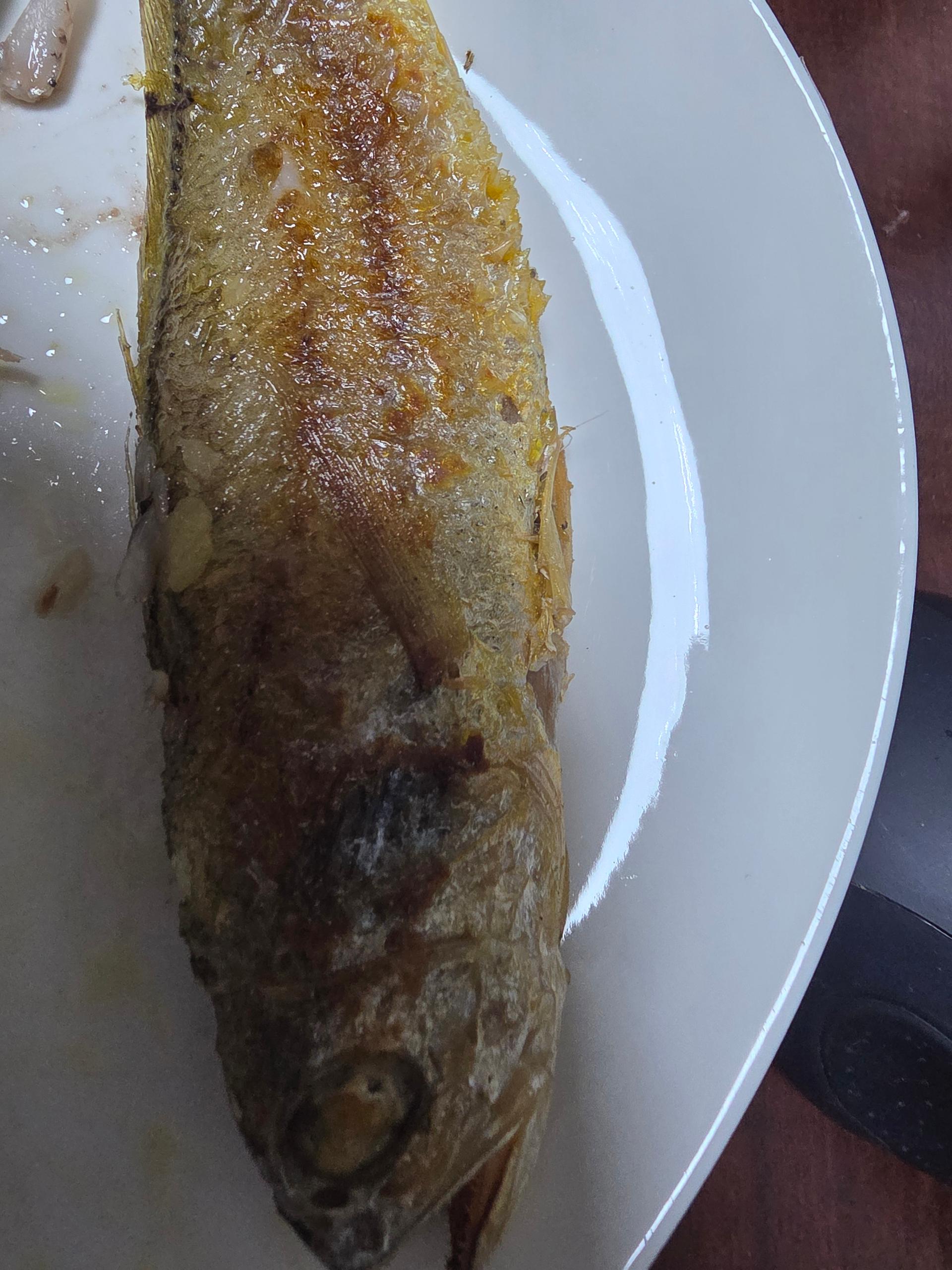 포토후기 이미지