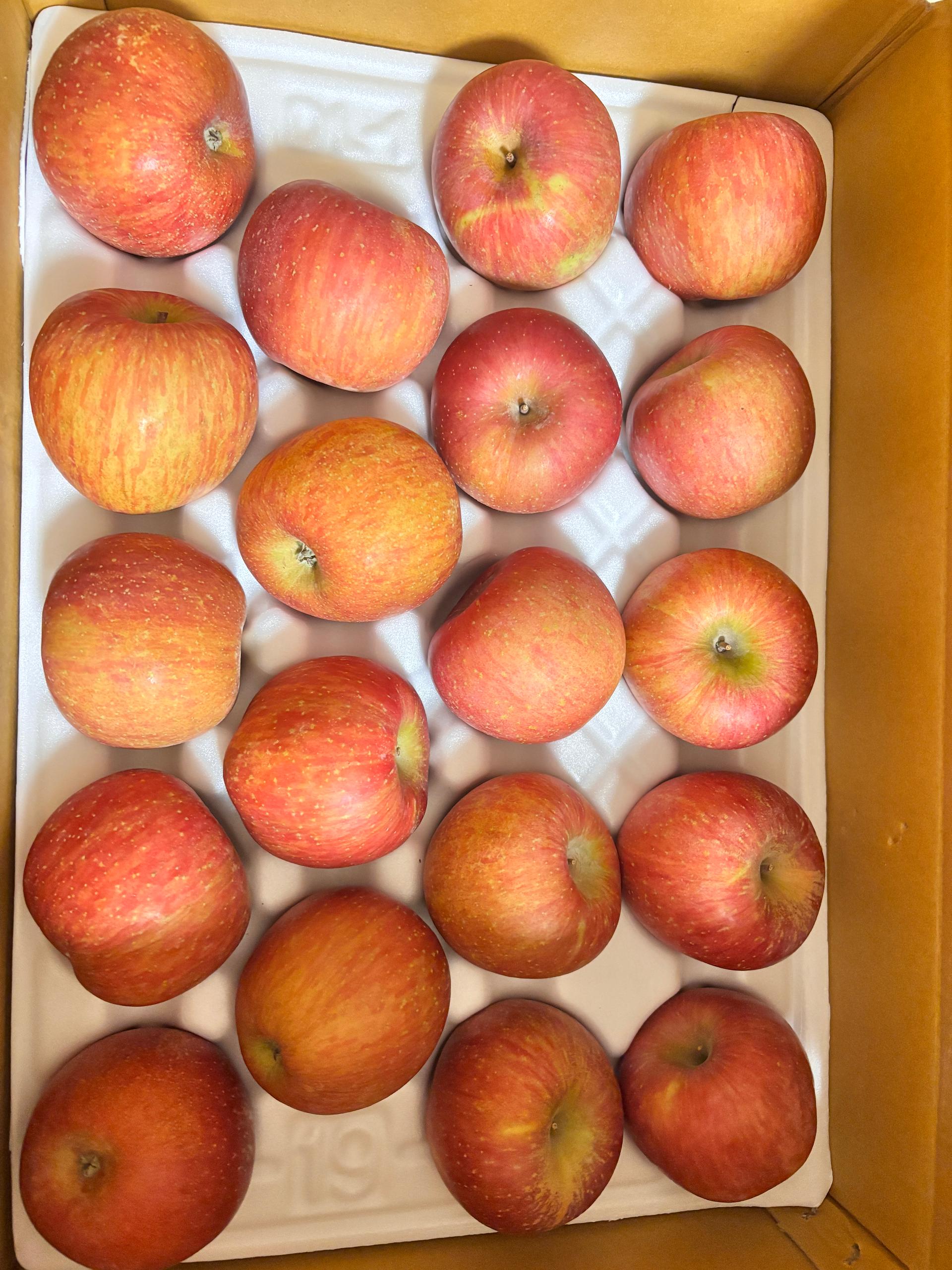 풍기농협 영주사과 3.5kg + 1kg 추가증정