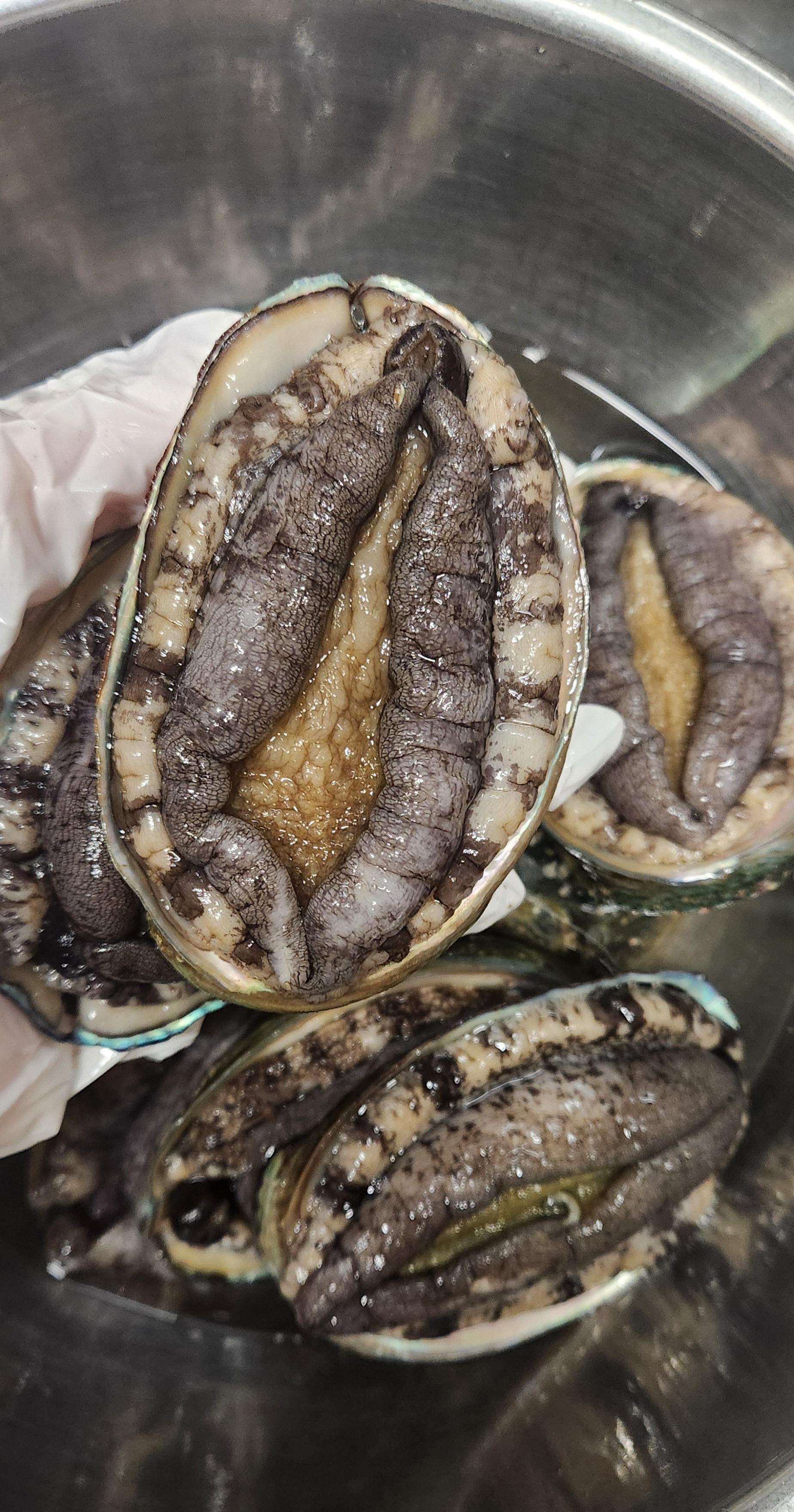 포토후기 이미지