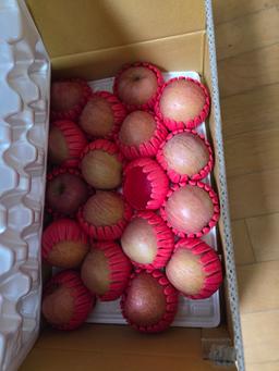 무주 반딧불 부사 4kg(18과)-1