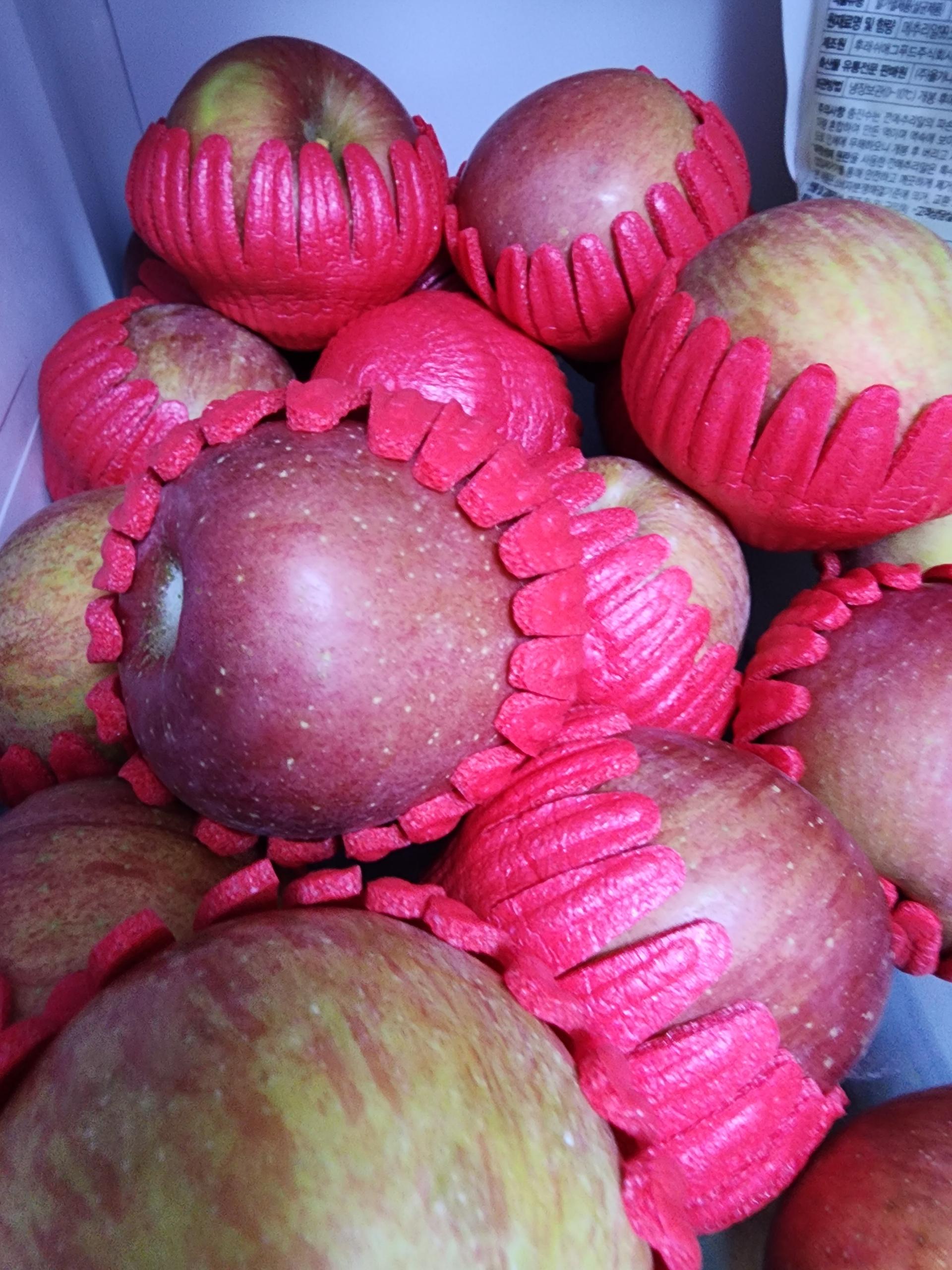 무주 반딧불 부사 4kg(18과)