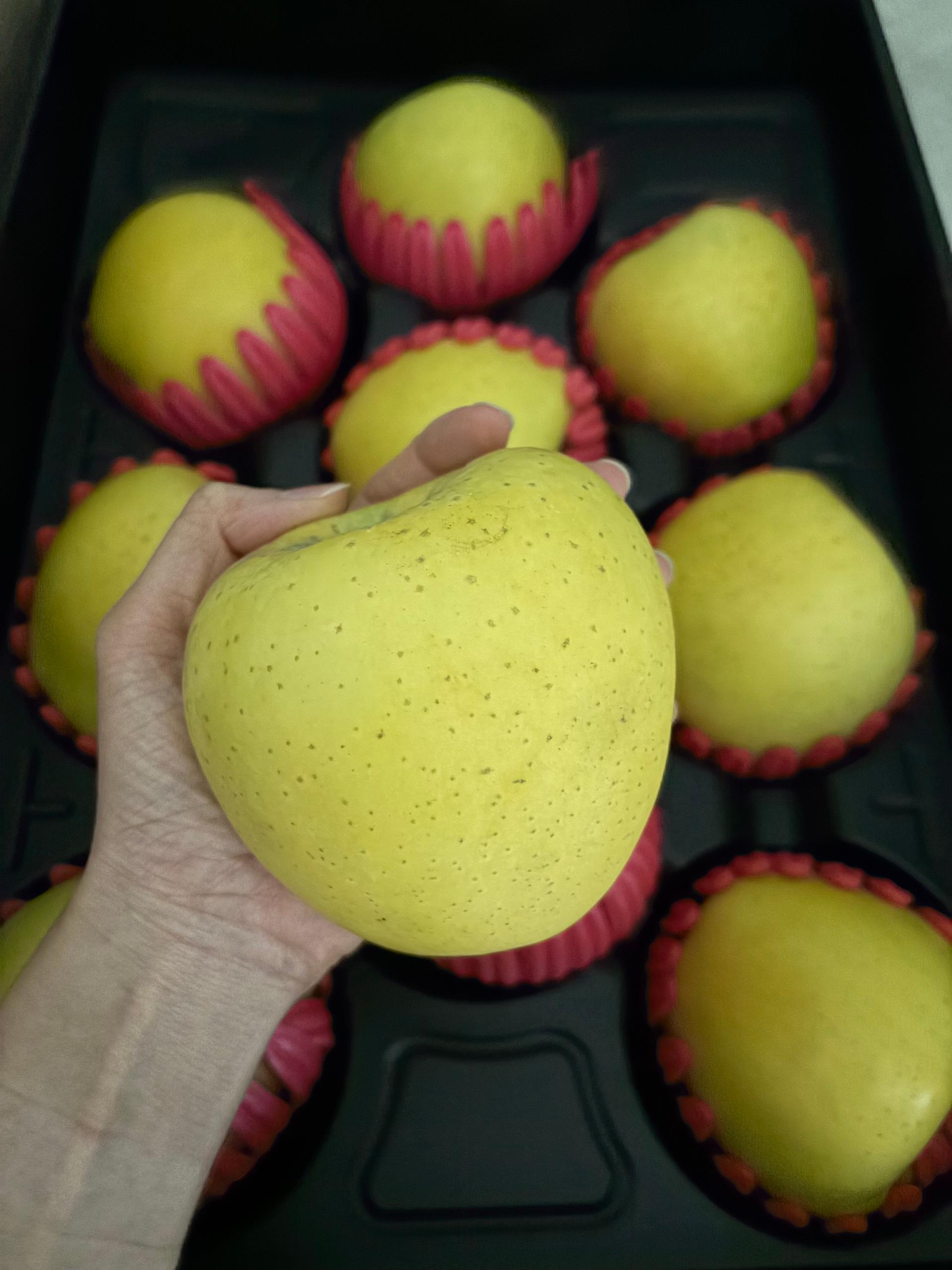 대경사과원예농협]영주사과 3.2kg 선물세트+1kg 추가 증정 (10입내)