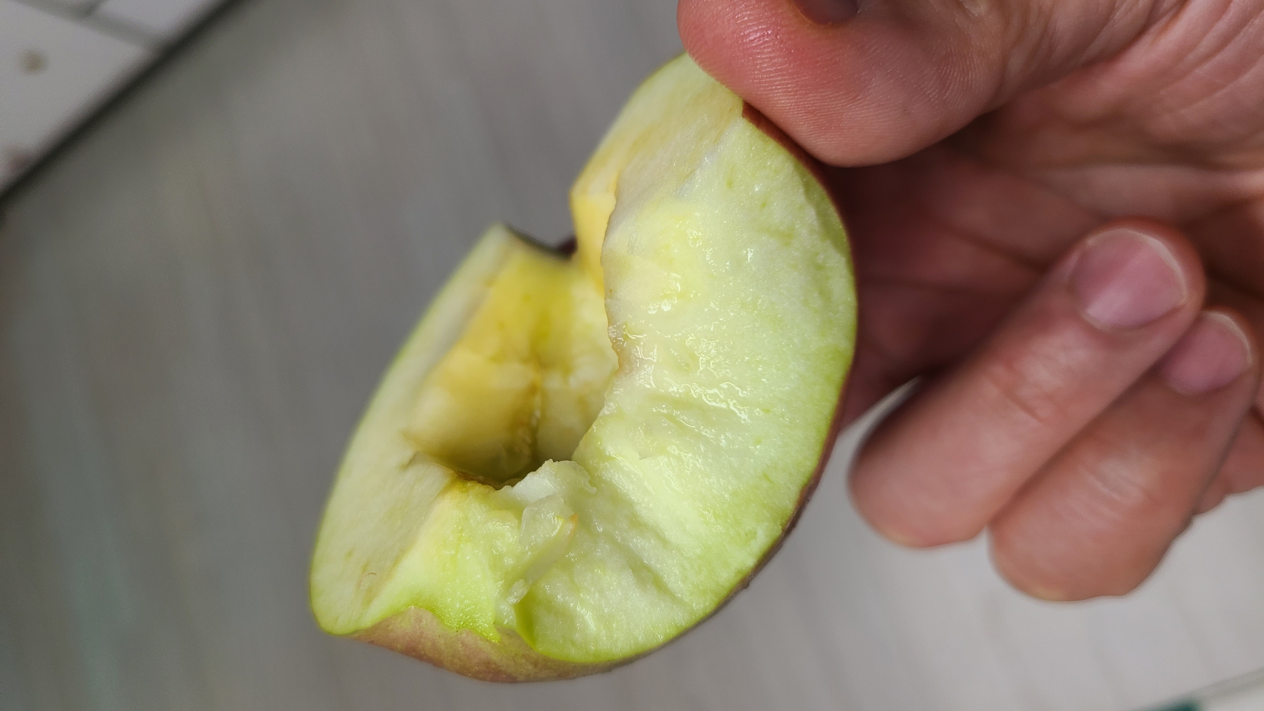 포토후기 이미지