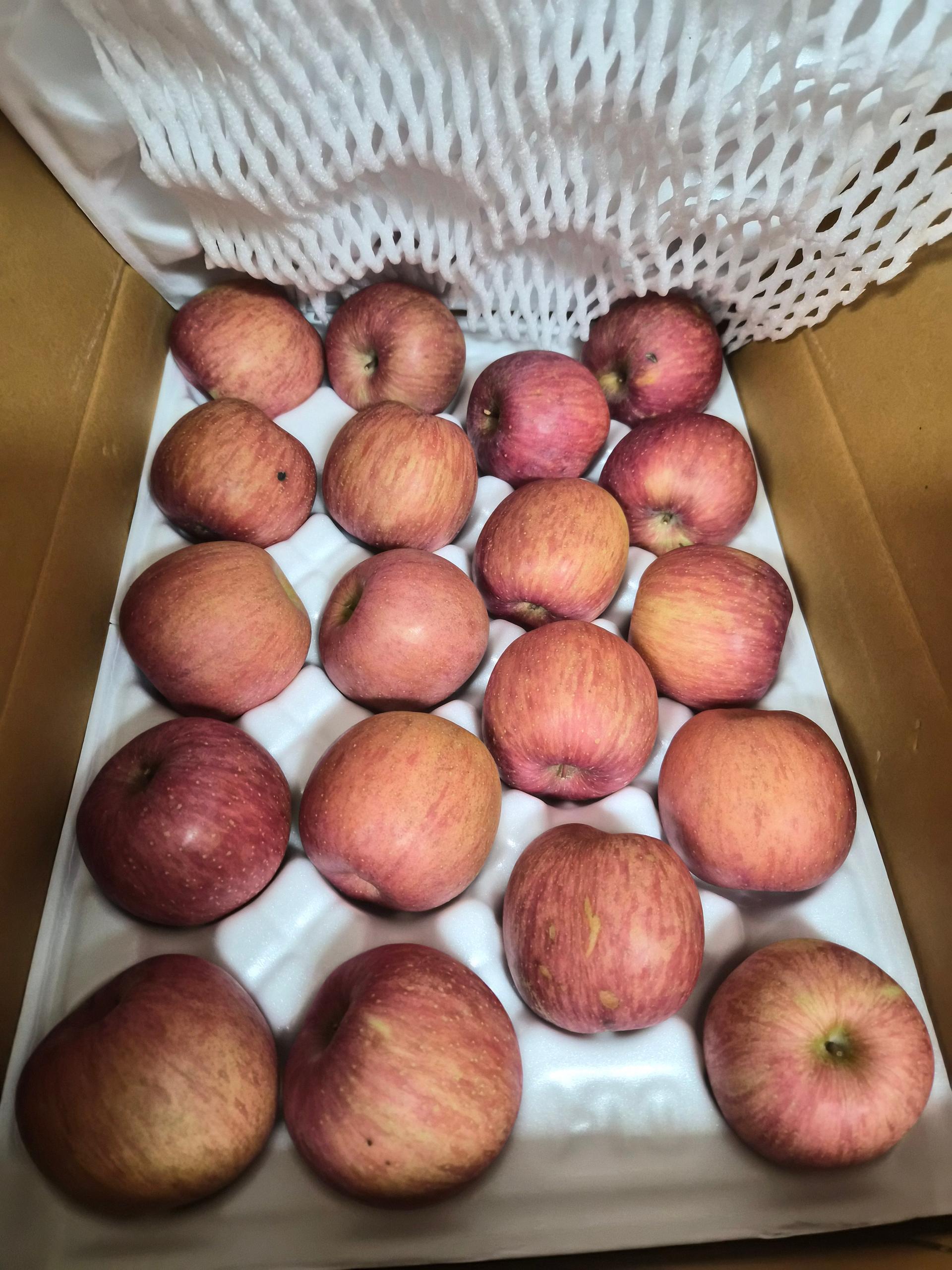 풍기농협 영주사과 3.5kg + 1kg 추가증정