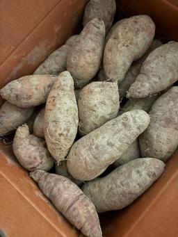 욕지도 고구마 (꿀고구마 5kg, 밤고구마 5kg, 호박고구마 5kg) -1