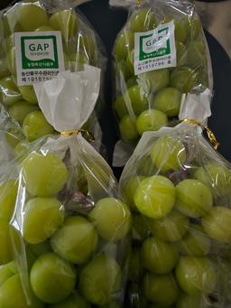 샤인머스켓 3kg-1