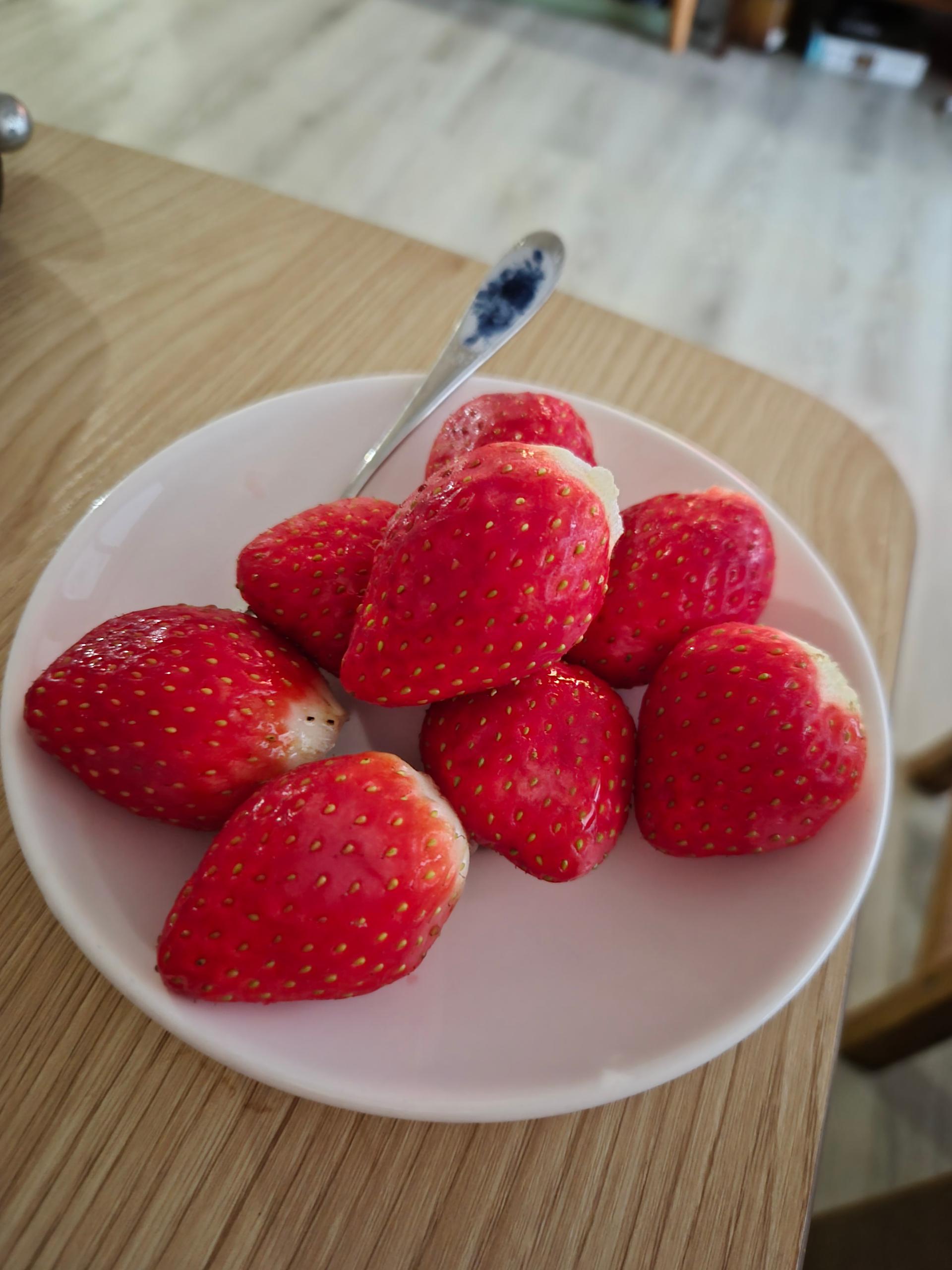 [사전예약 2차, 12월 중순 발송예정] 명품 설향딸기 800g + 800g