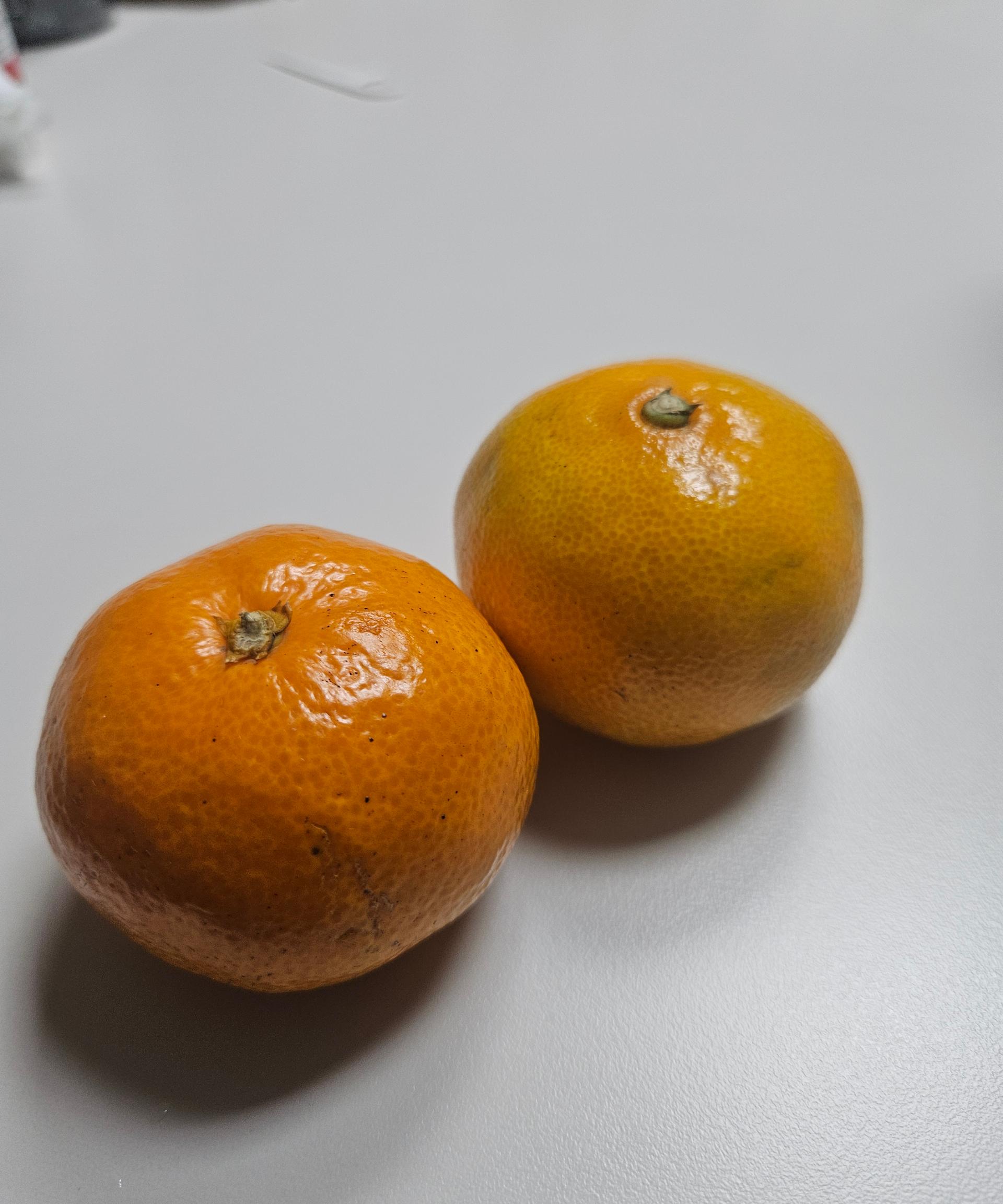 [연말한정! 감귤/흑돼지 개별 발송] 제주감귤 4kg (1박스)+흑돼지세트