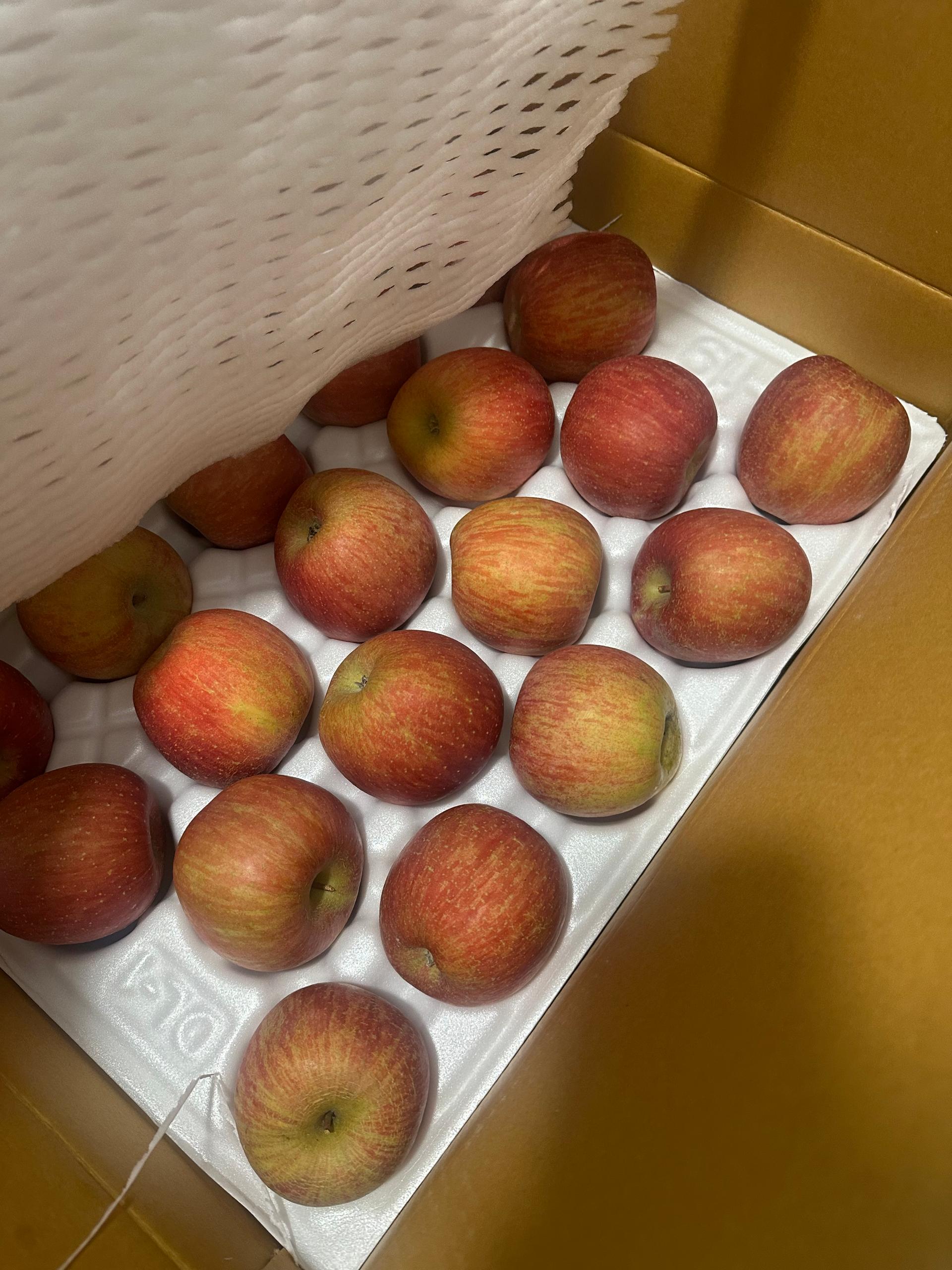 풍기농협 영주사과 3.5kg + 1kg 추가증정