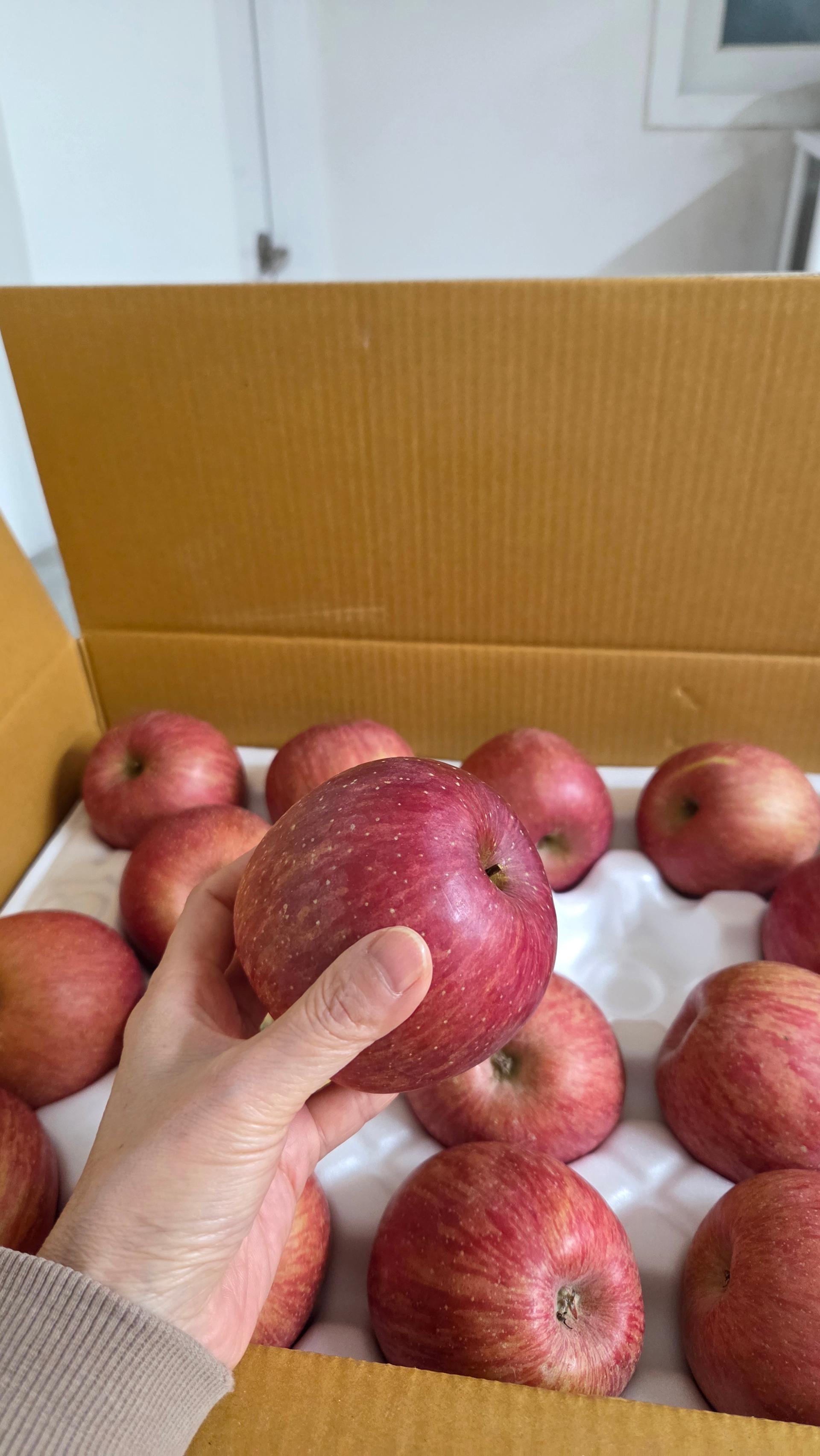 풍기농협 영주사과 3.5kg + 1kg 추가증정