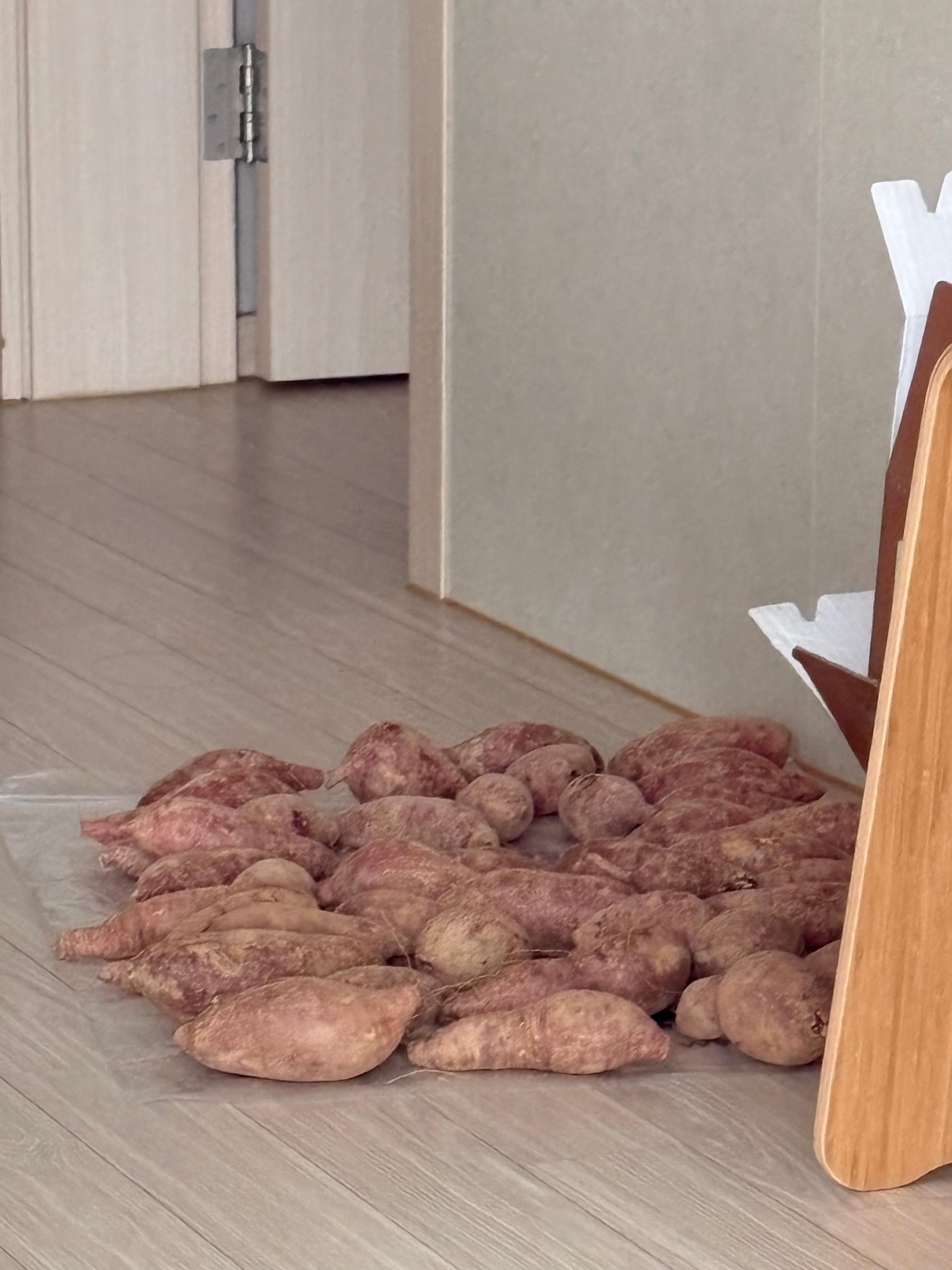 상월 꿀밤고구마 3kg + 호박고구마 3kg