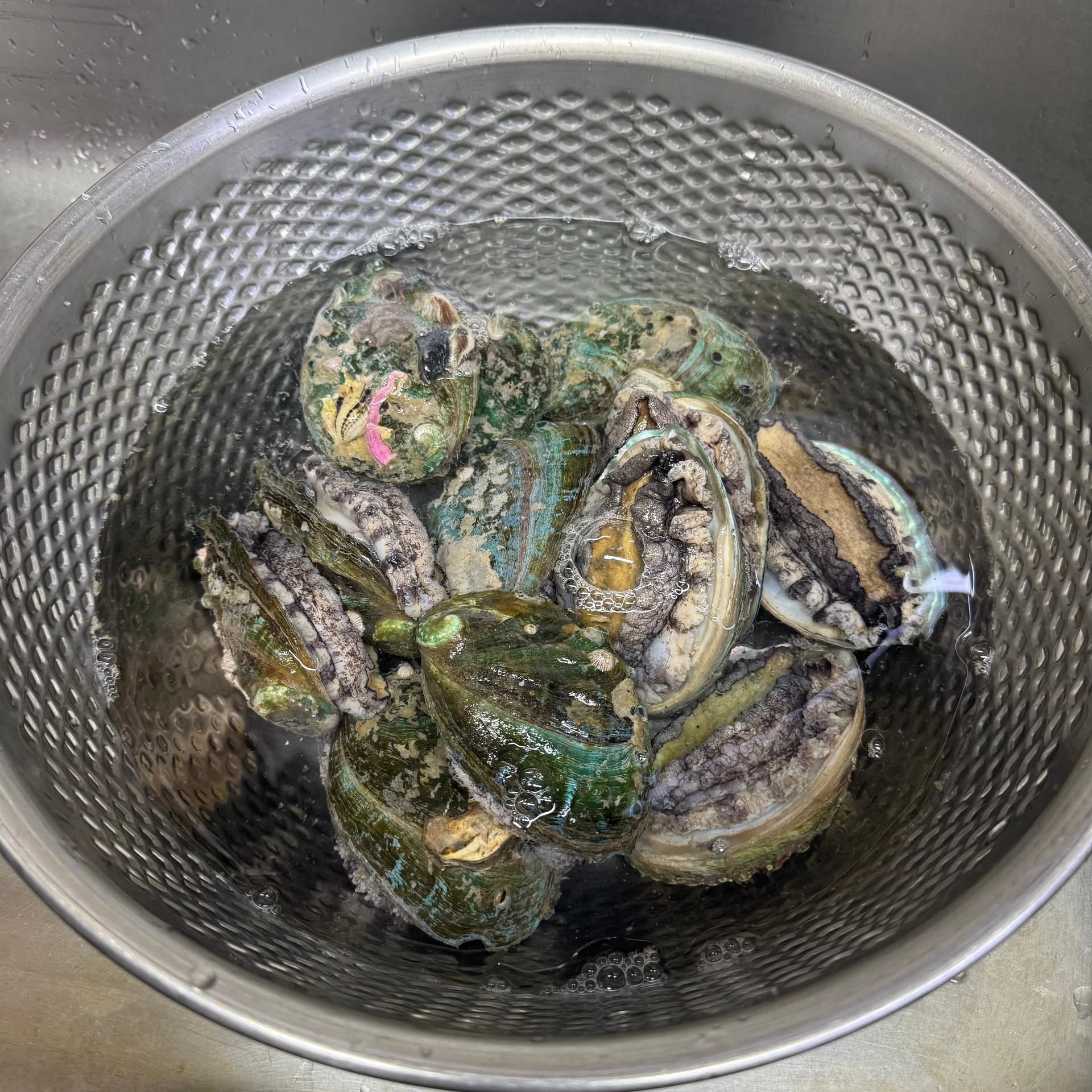 활전복 1kg (10~12미) + 1마리 추가