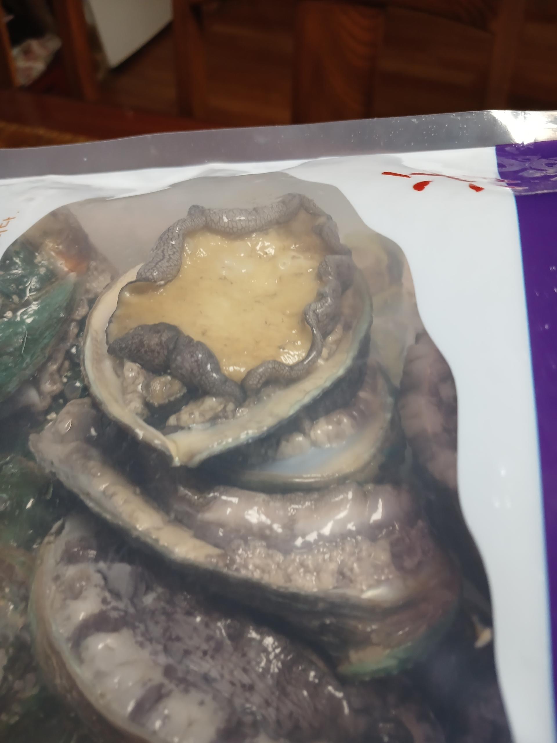 포토후기 이미지