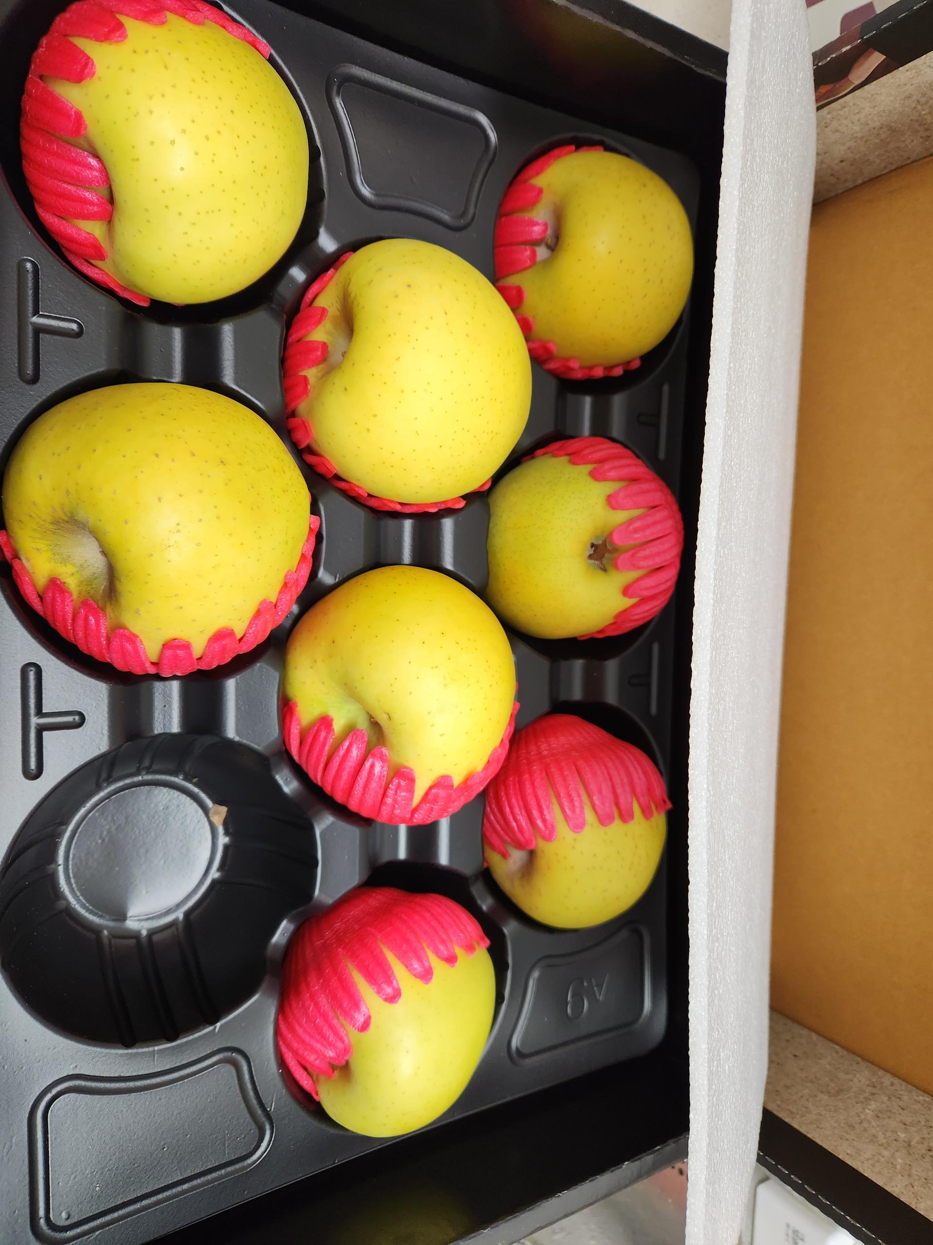 대경사과원예농협]영주사과 3.2kg 선물세트+1kg 추가 증정 (10입내)