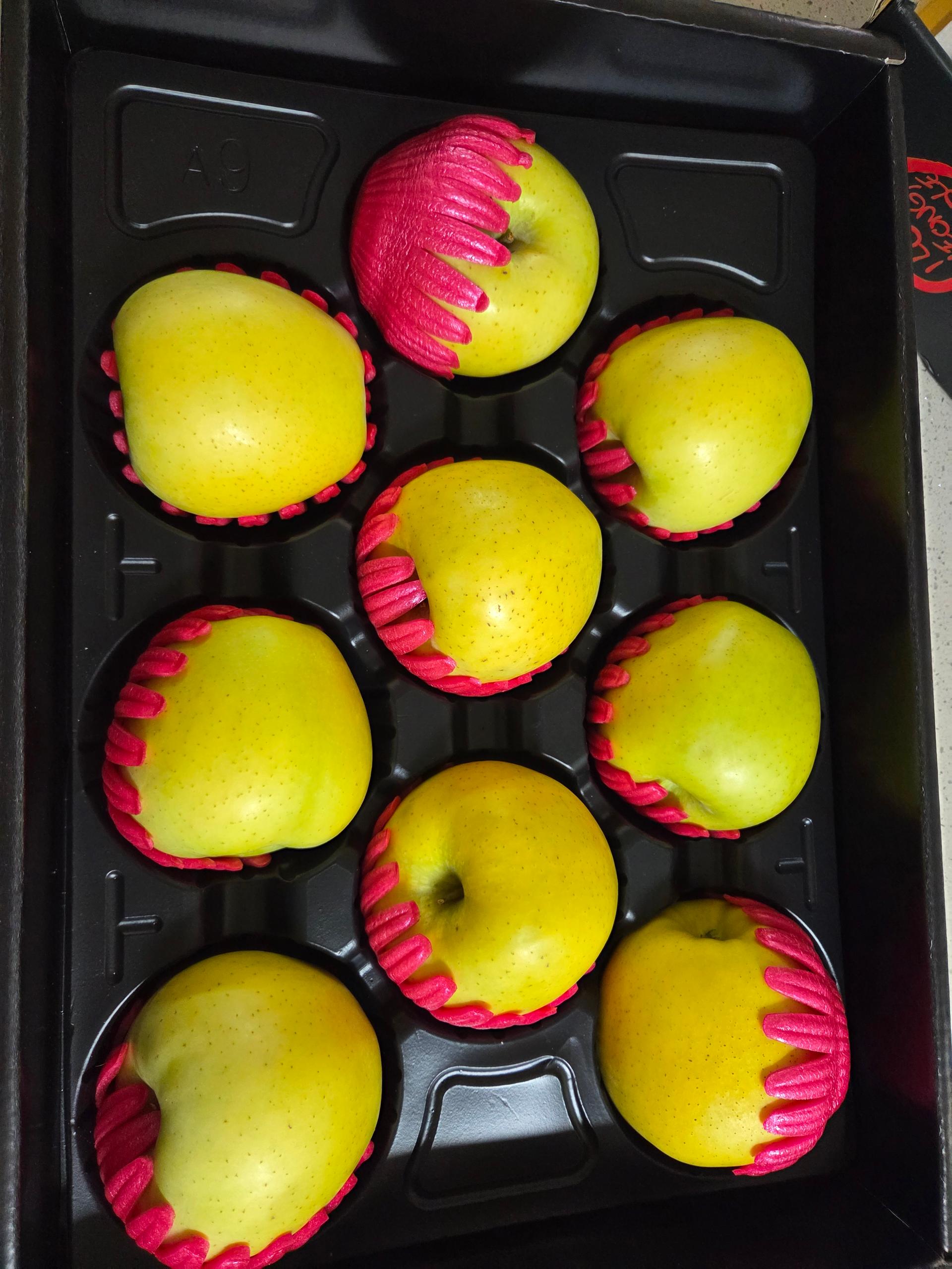 대경사과원예농협]영주사과 3.2kg 선물세트+1kg 추가 증정 (10입내)