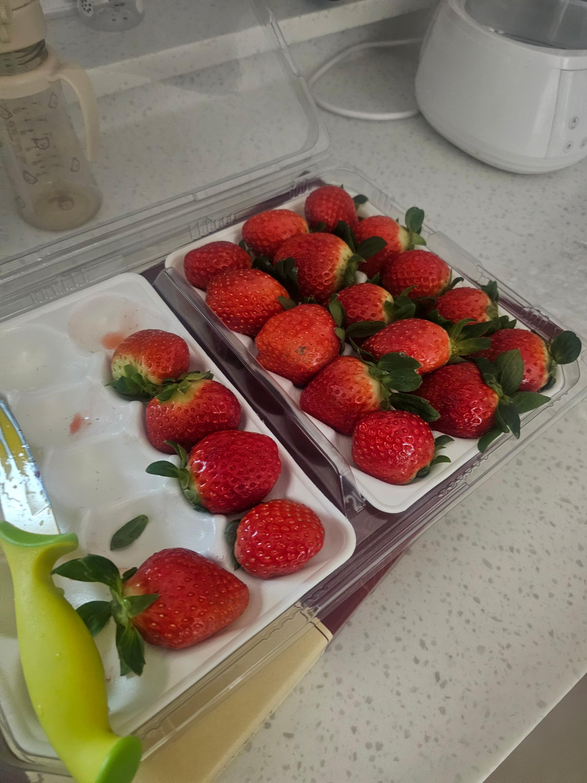 [사전예약 2차, 12월 중순 발송예정] 명품 설향딸기 800g + 800g