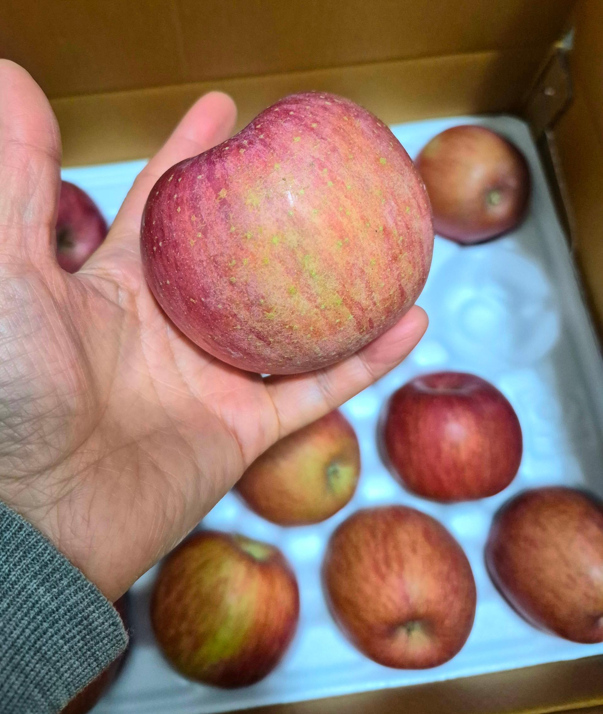 포토후기 이미지