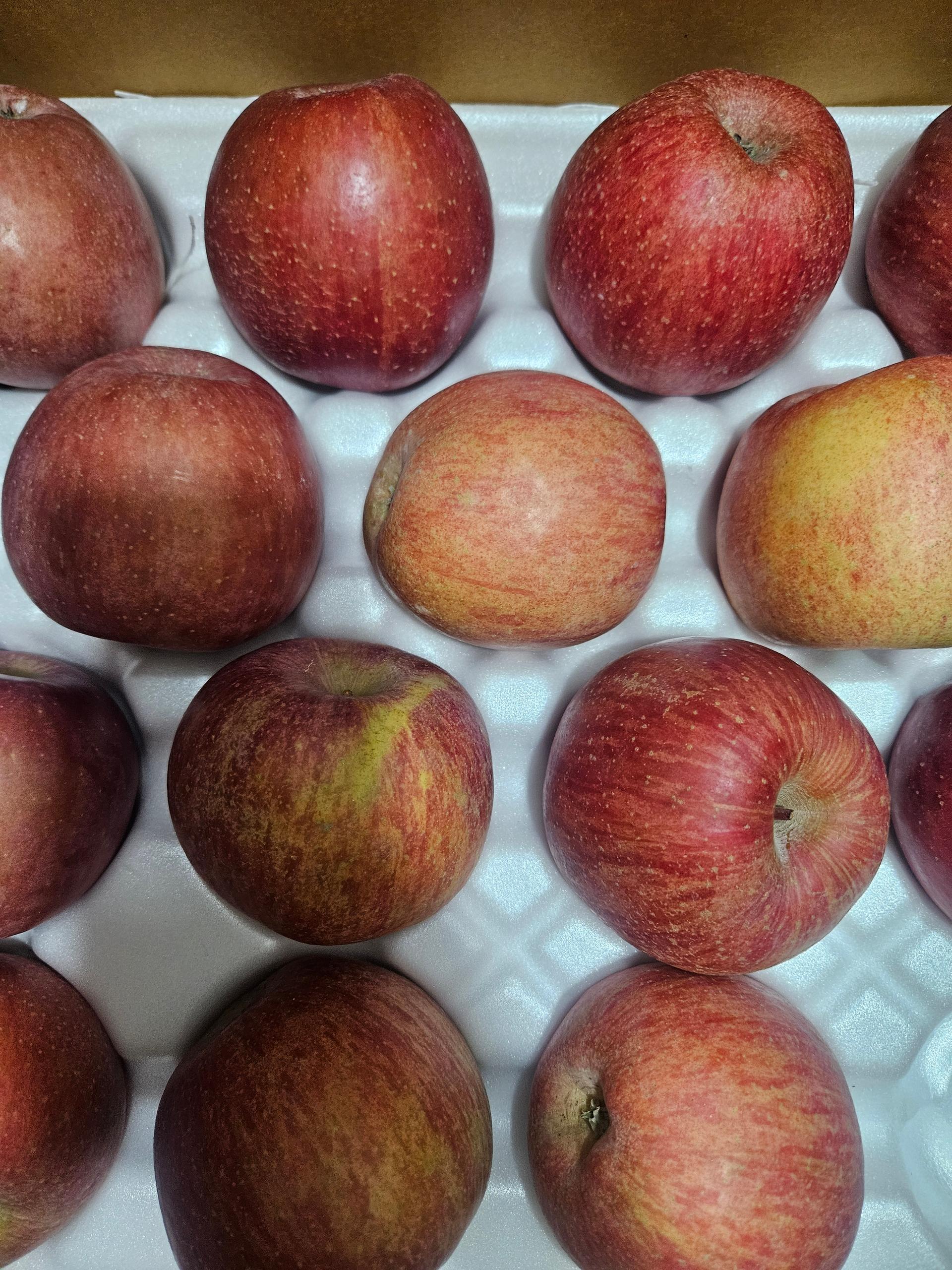 풍기농협 영주사과 3.5kg + 1kg 추가증정