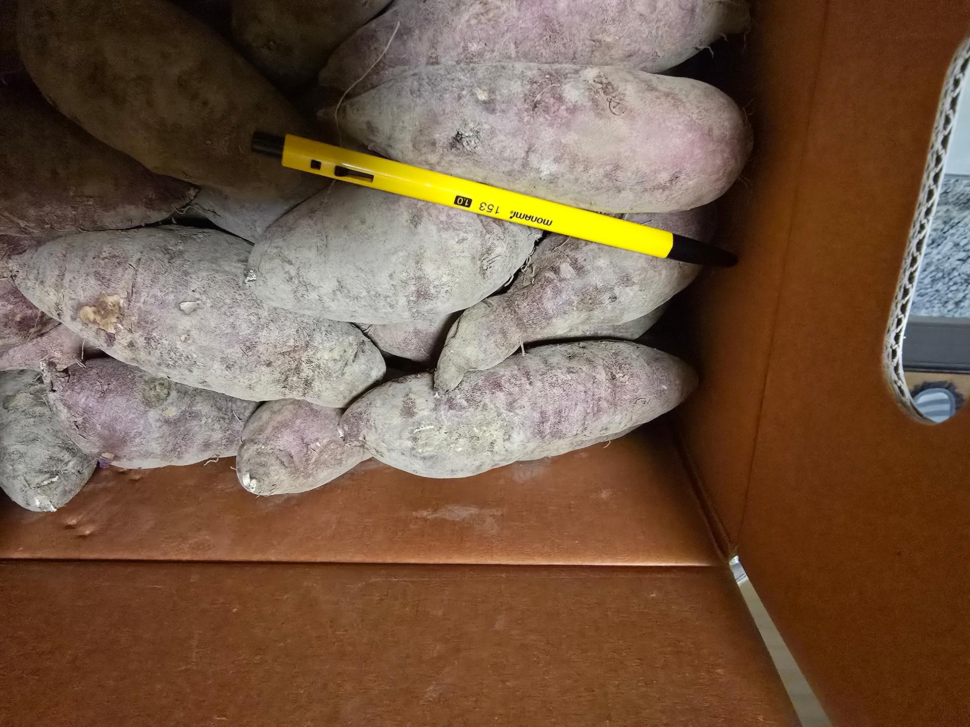 욕지도 고구마 (꿀고구마 5kg, 밤고구마 5kg, 호박고구마 5kg) 