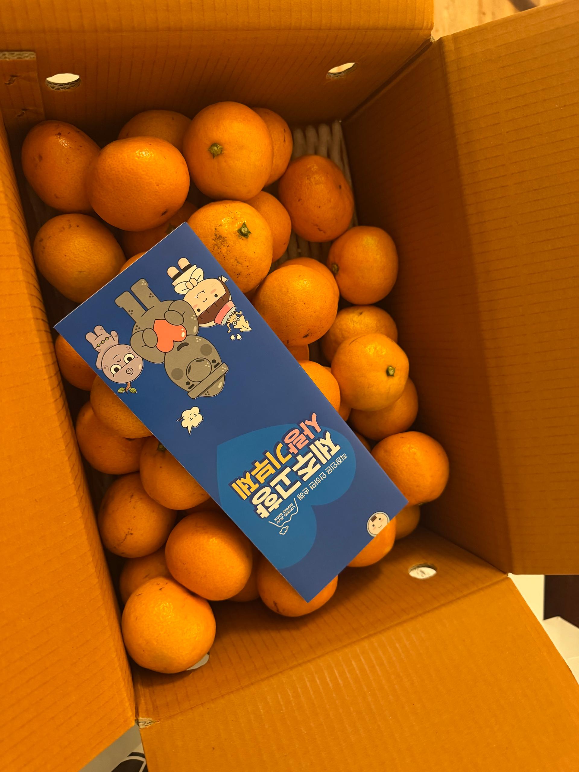 [연말한정! 감귤/과즐 개별 발송] 제주감귤 4kg (1박스)+감귤과즐 24봉 선물세트