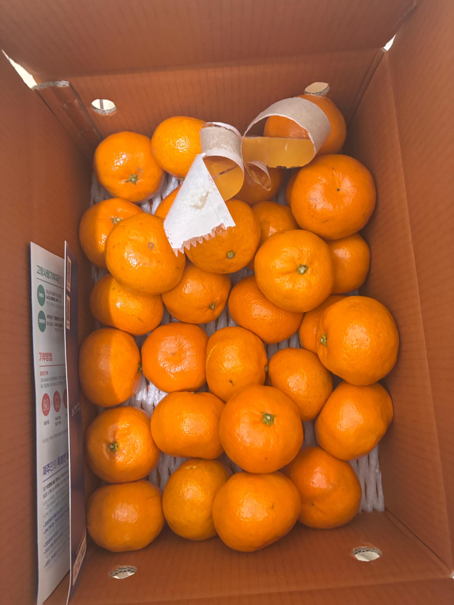 [연말한정! 감귤/흑돼지 개별 발송] 제주감귤 4kg (1박스)+흑돼지세트 950g