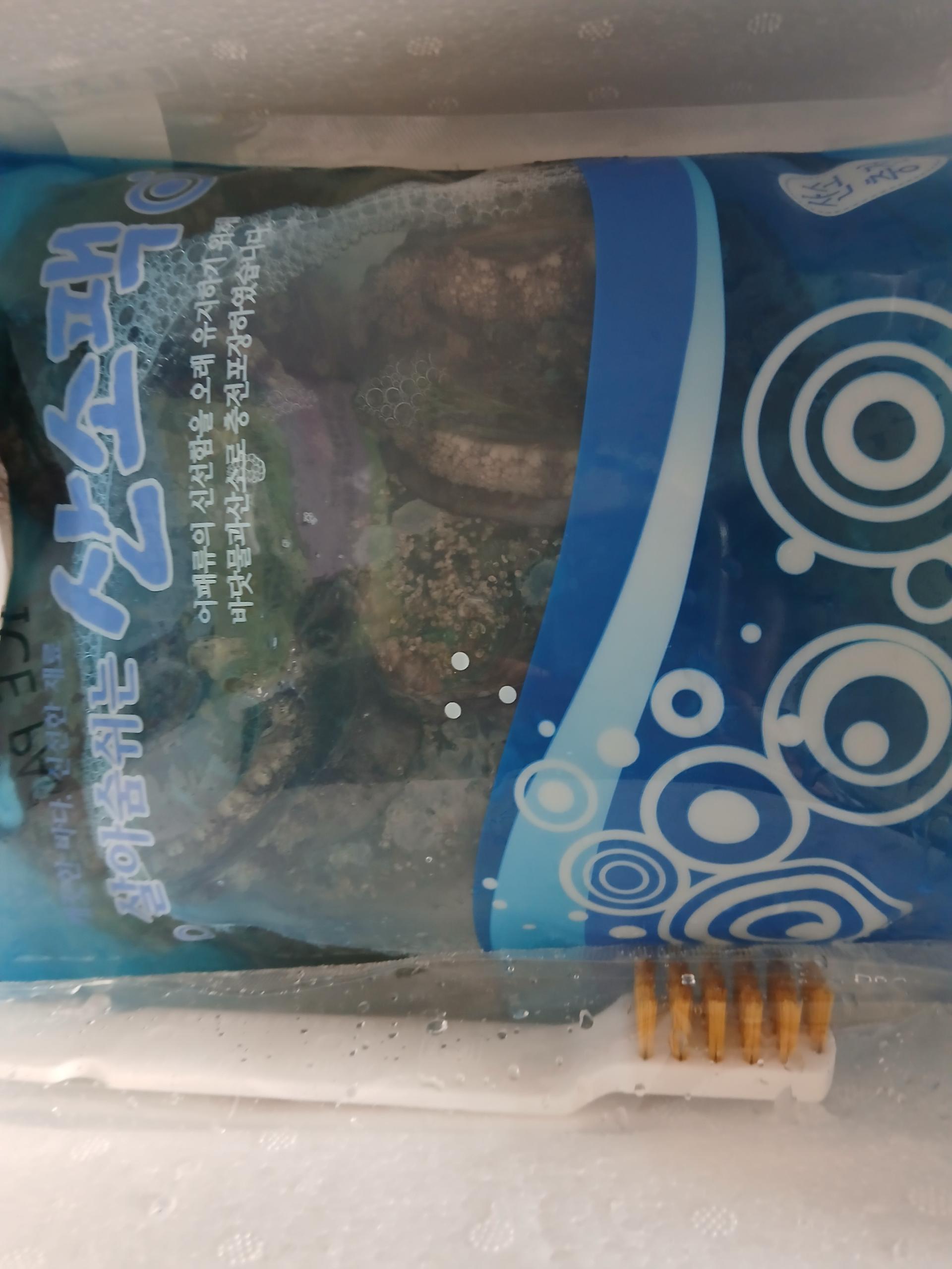 활전복 1kg (10~12미) + 1마리 추가