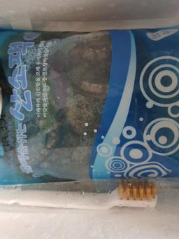 활전복 1kg (10~12미) + 1마리 추가-1