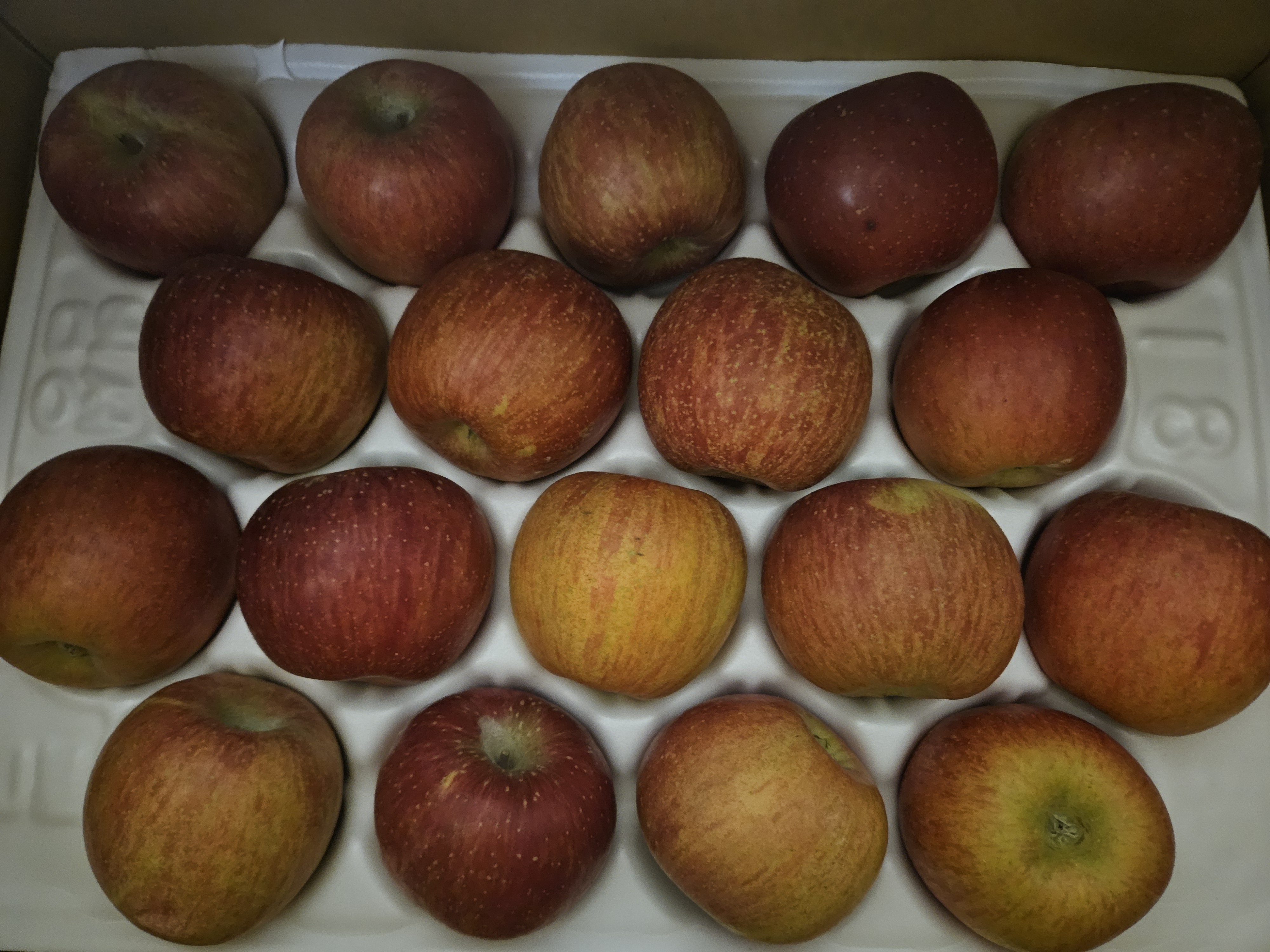 풍기농협 영주사과 3.5kg + 1kg 추가증정