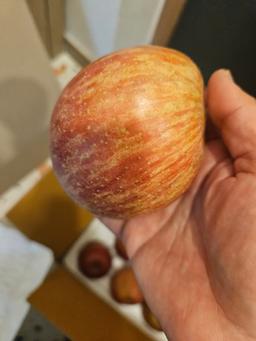 풍기농협 영주사과 3.5kg + 1kg 추가증정-3