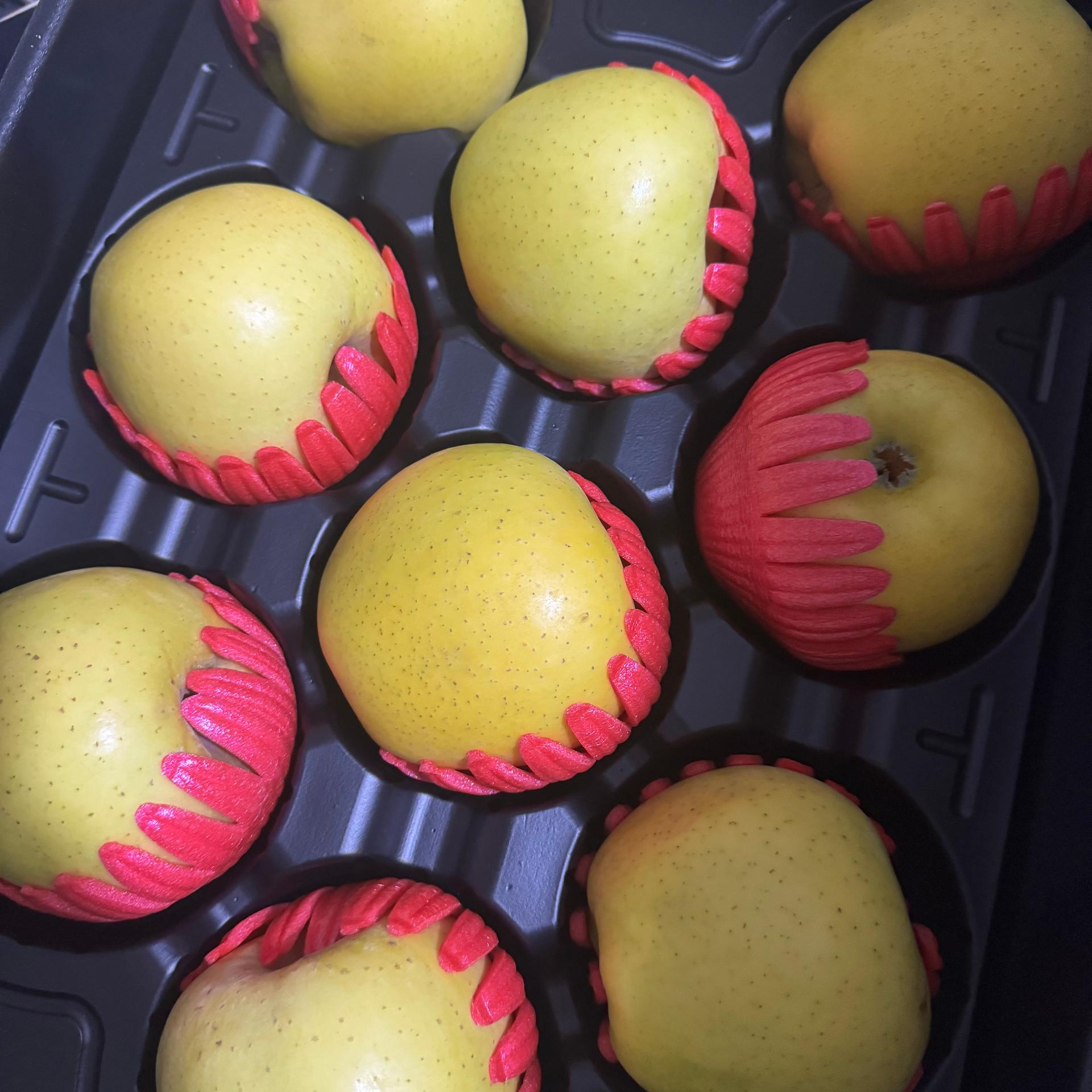 포토후기 이미지