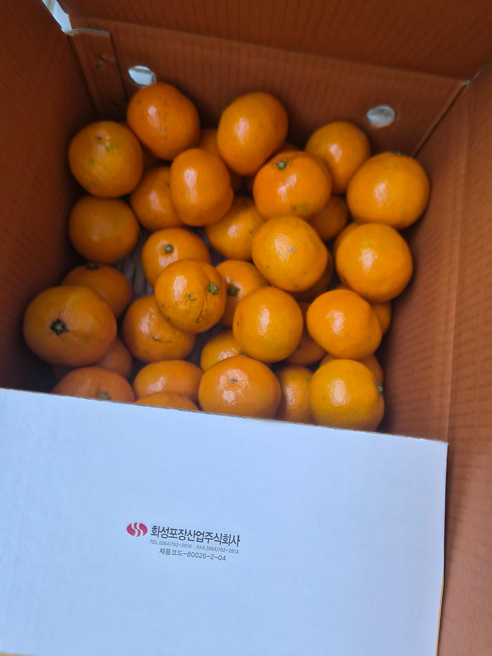 포토후기 이미지