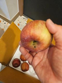 풍기농협 영주사과 3.5kg + 1kg 추가증정-2