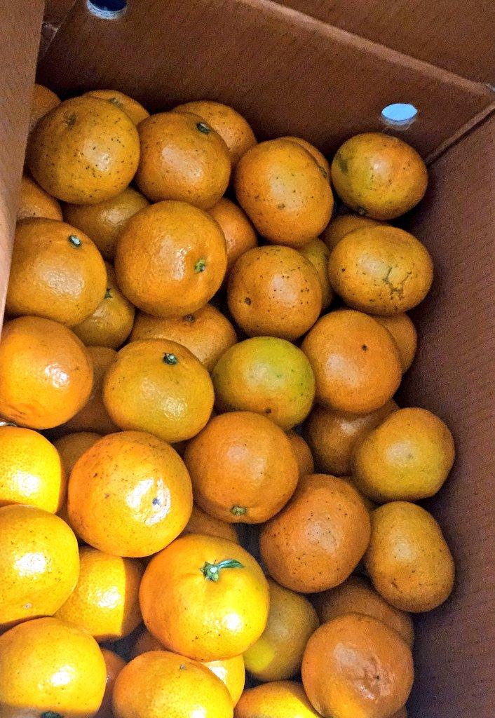 포토후기 이미지